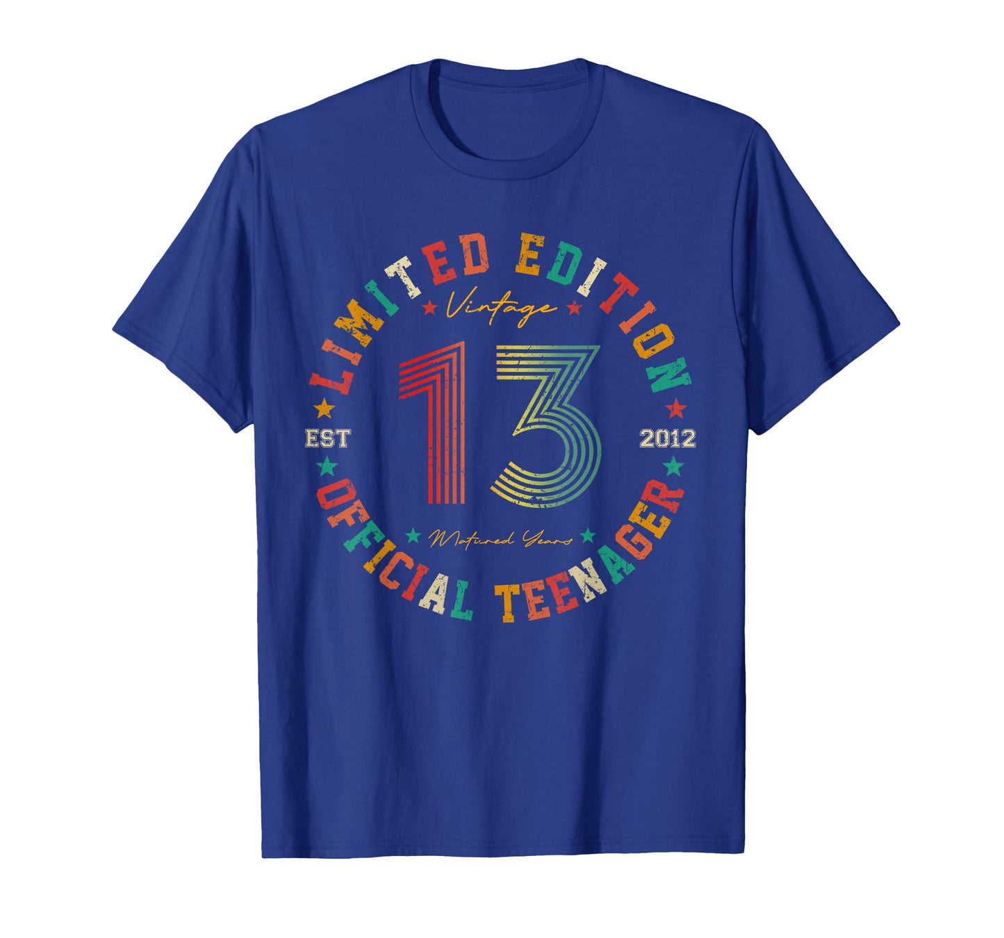 Official Teenager 13 Year Old Gifts Vintage 13th Birthday T-Shirt