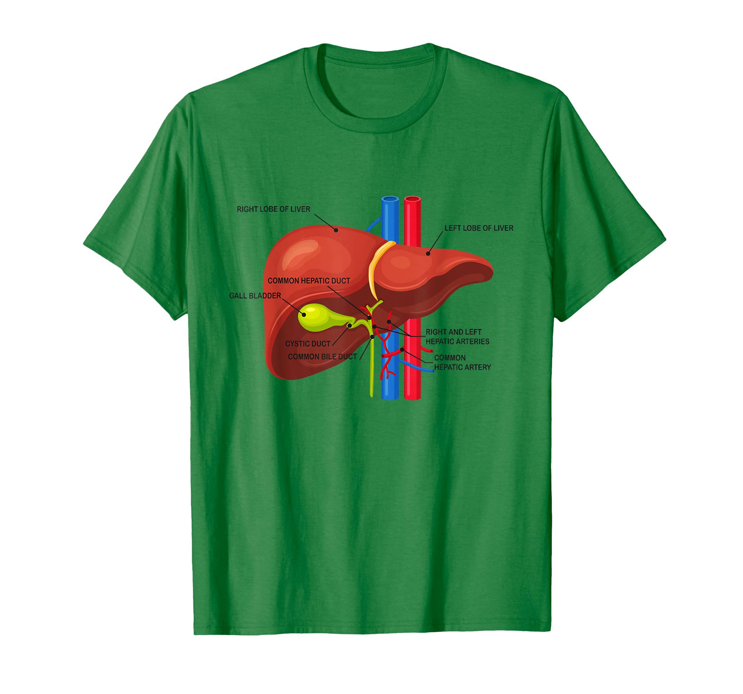 Funny Human Liver Anatomy Anatomical Liver T-Shirt