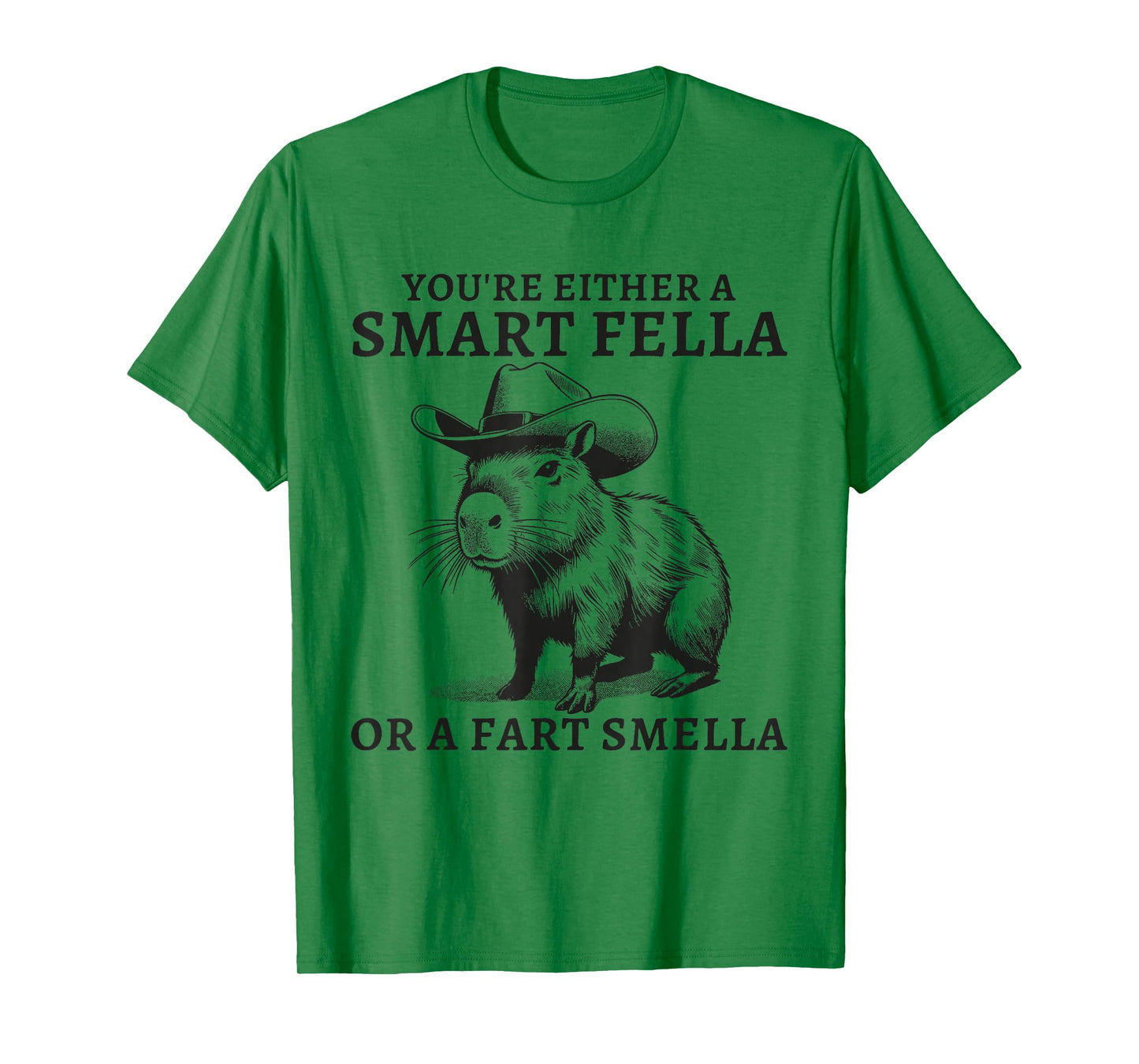 You're Either A Smart Fella Or A Fart Smella Funny Sarcastic T-Shirt
