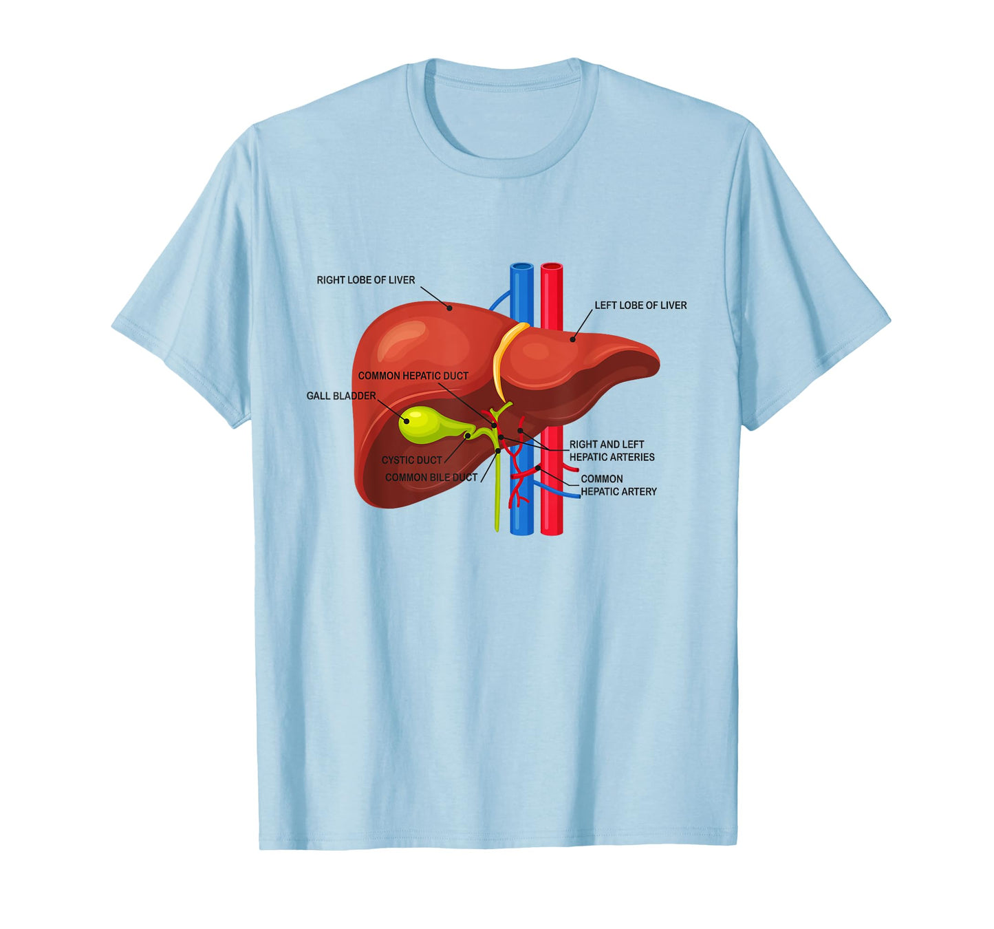 Funny Human Liver Anatomy Anatomical Liver T-Shirt