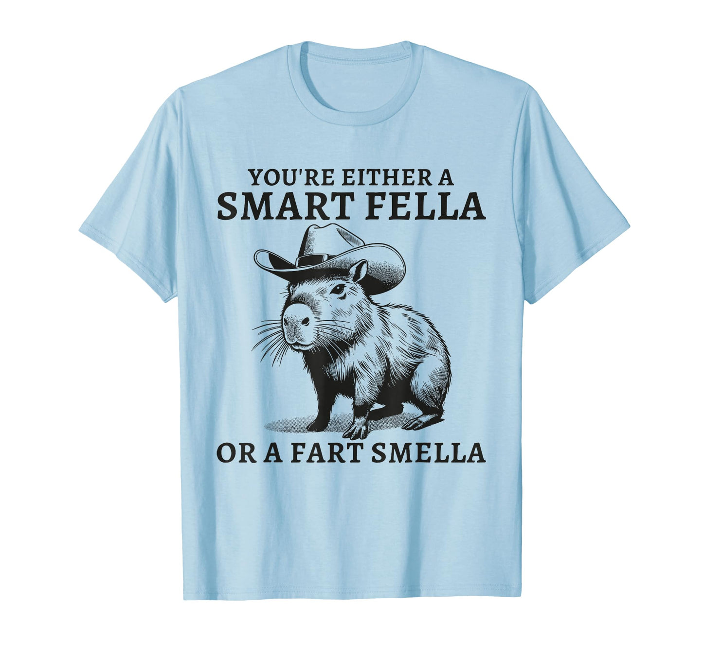 You're Either A Smart Fella Or A Fart Smella Funny Sarcastic T-Shirt