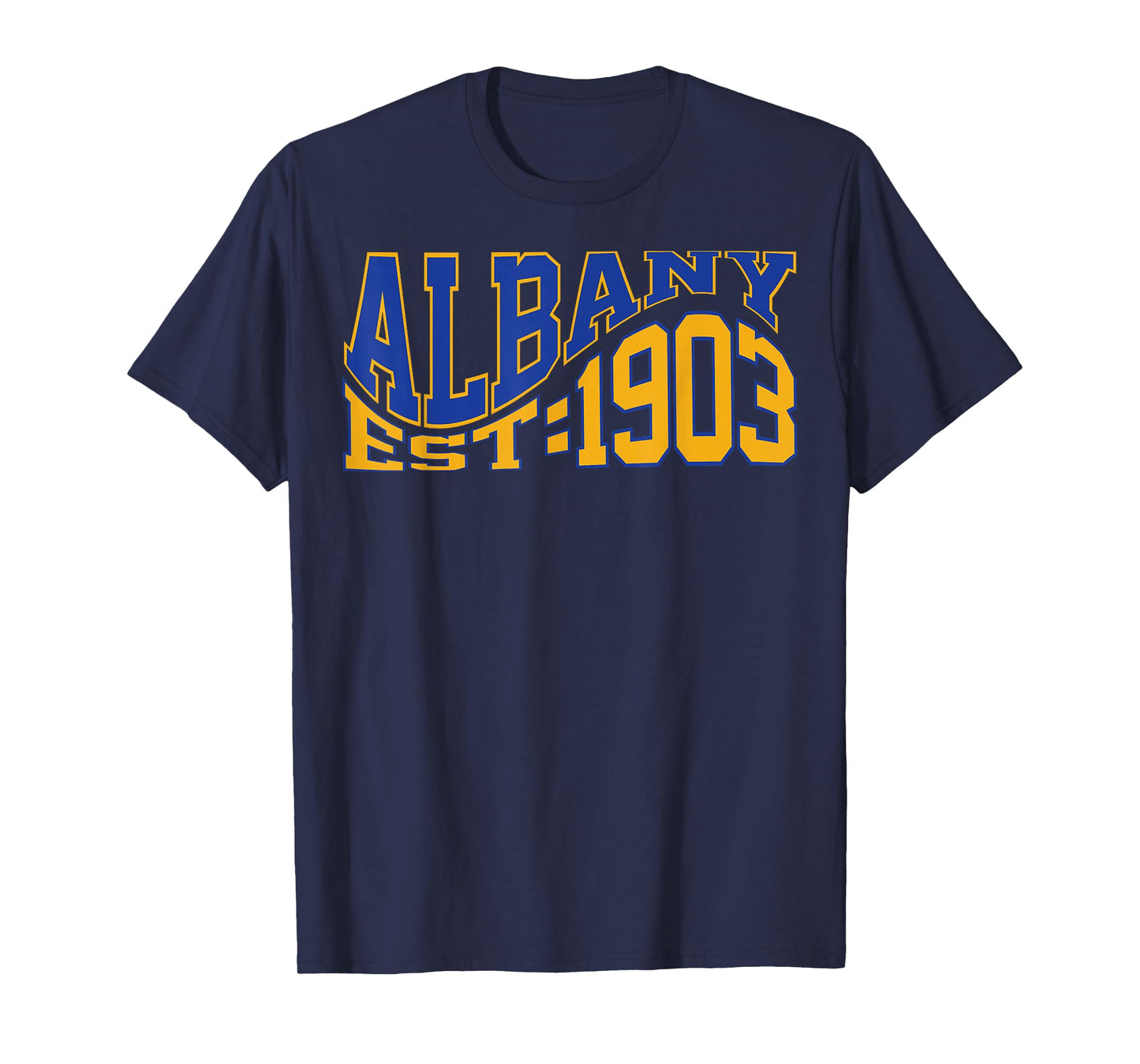 Retro Albany Wave Text City Vintage State T-Shirt