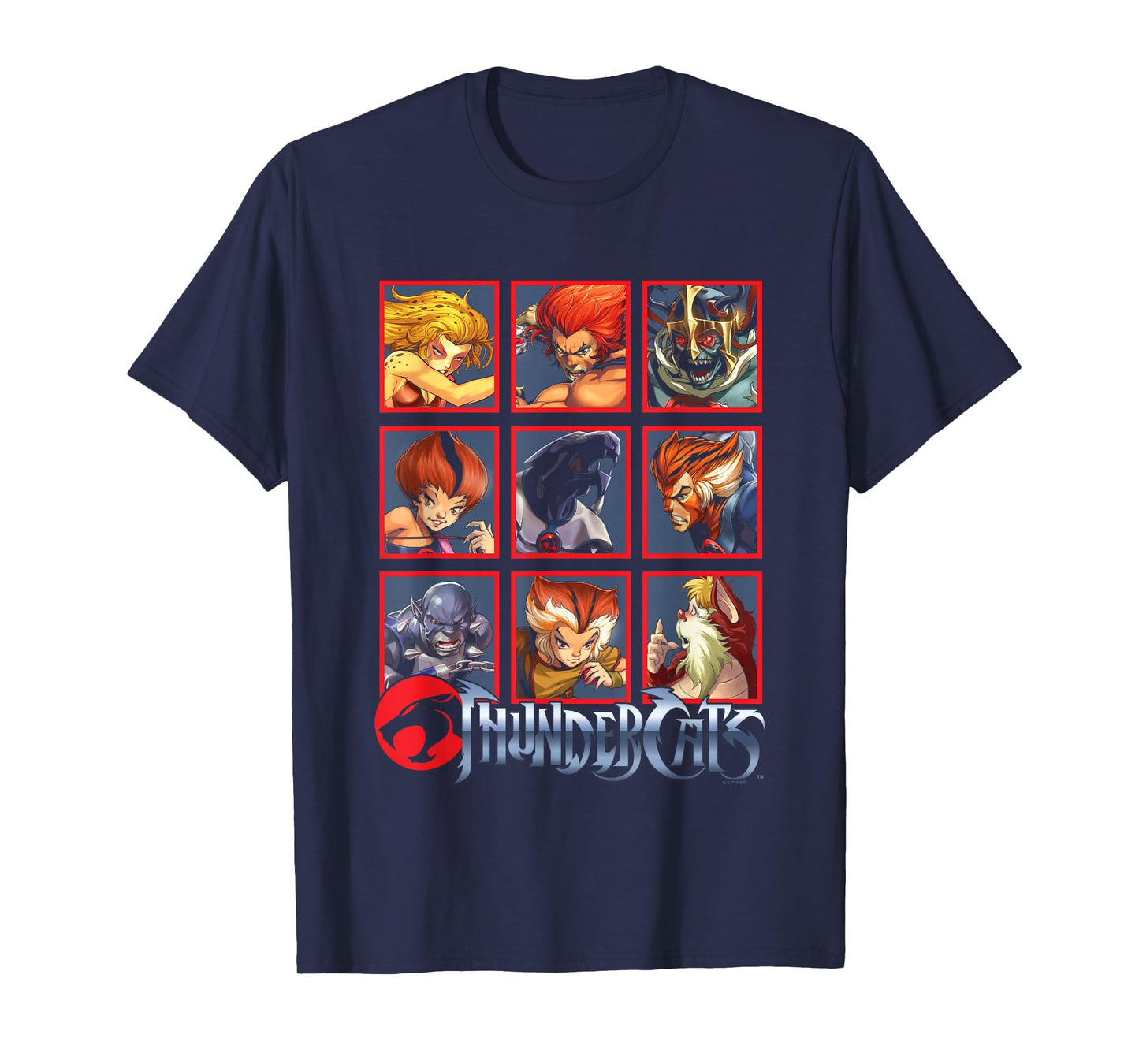 ThunderCats Bring The Thunder Vintage Box Up T-Shirt