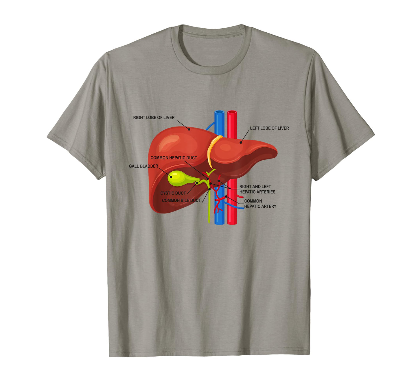 Funny Human Liver Anatomy Anatomical Liver T-Shirt