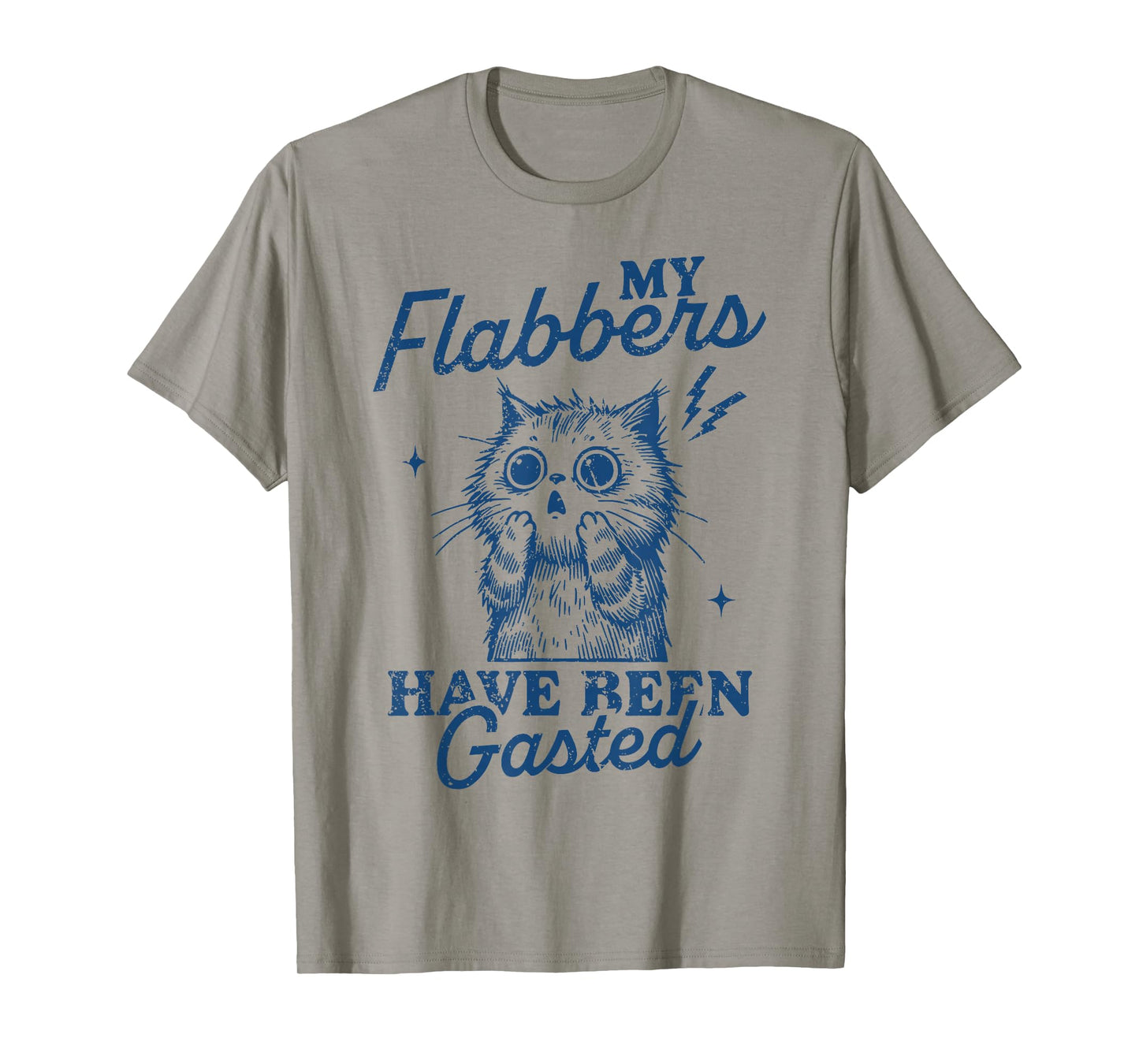 My Flabbers Have Been Gasted Distressed Retro Funny Cat T-Shirt
