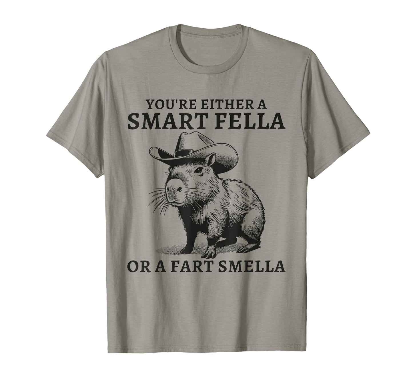 You're Either A Smart Fella Or A Fart Smella Funny Sarcastic T-Shirt