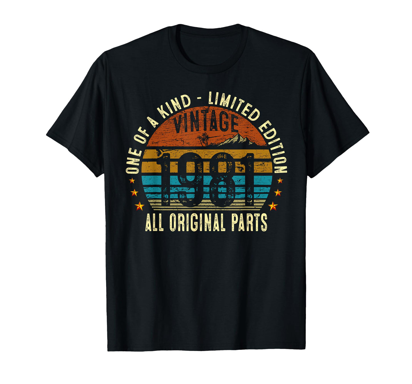 Vintage 1981 44 Years Old Men Women 44th Birthday Gifts T-Shirt