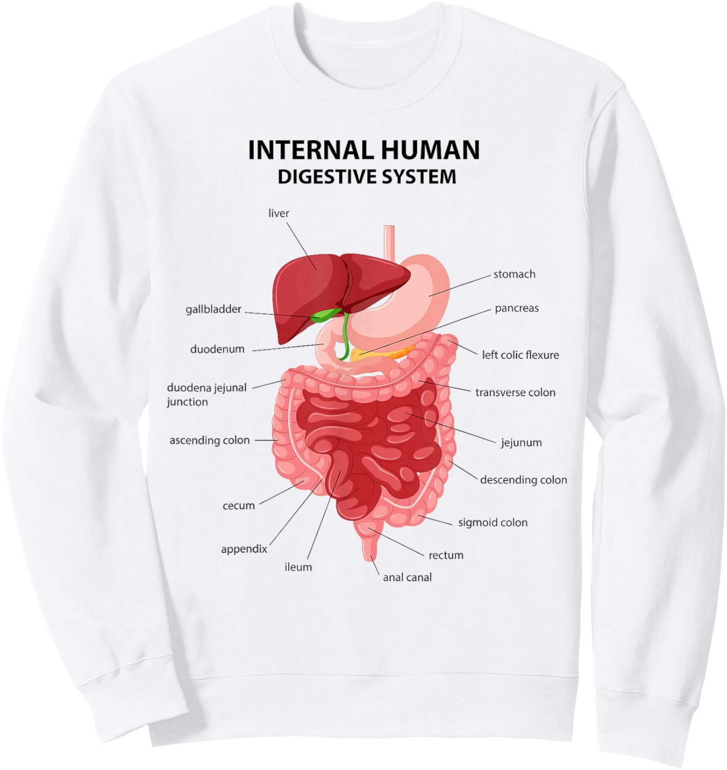 Funny Digestive System Anatomy Anatomical Biology Teacher Sweatshirt - Sweatshirt | White