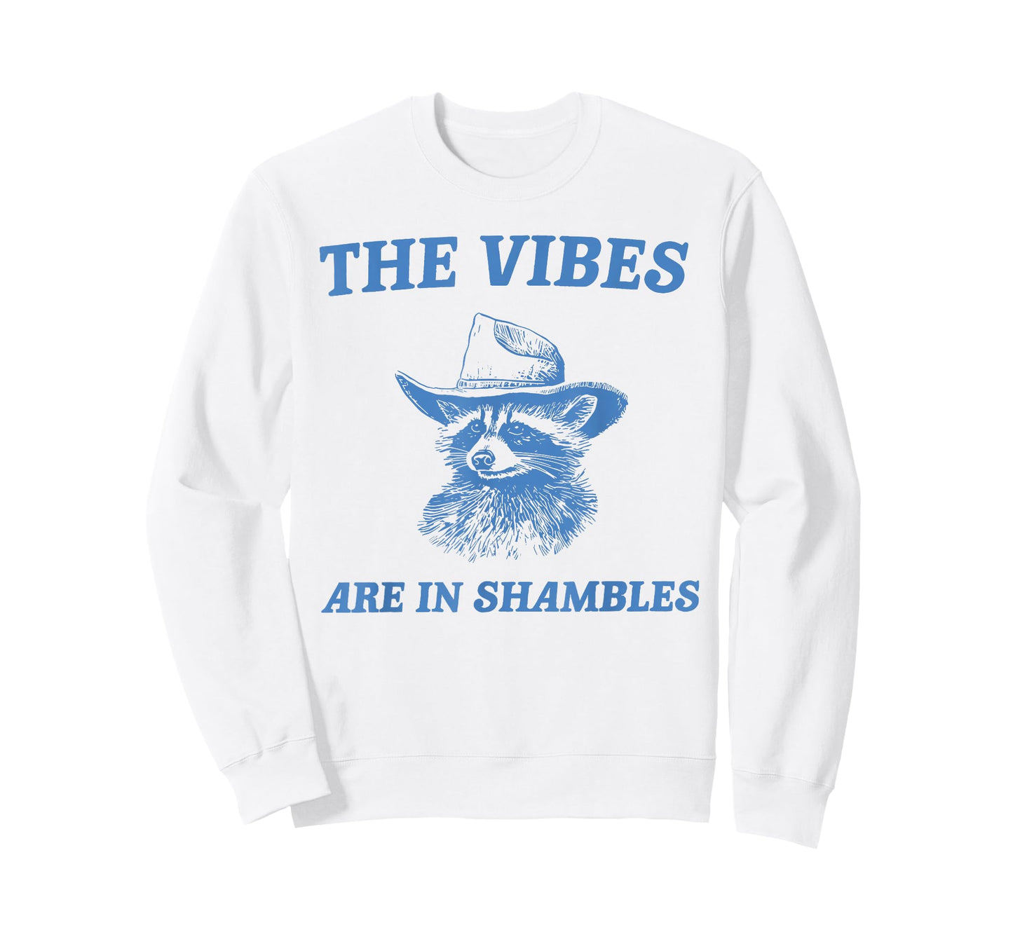 The Vibes are in Shambles Cute Raccoon Mental Health Matters T-Shirt