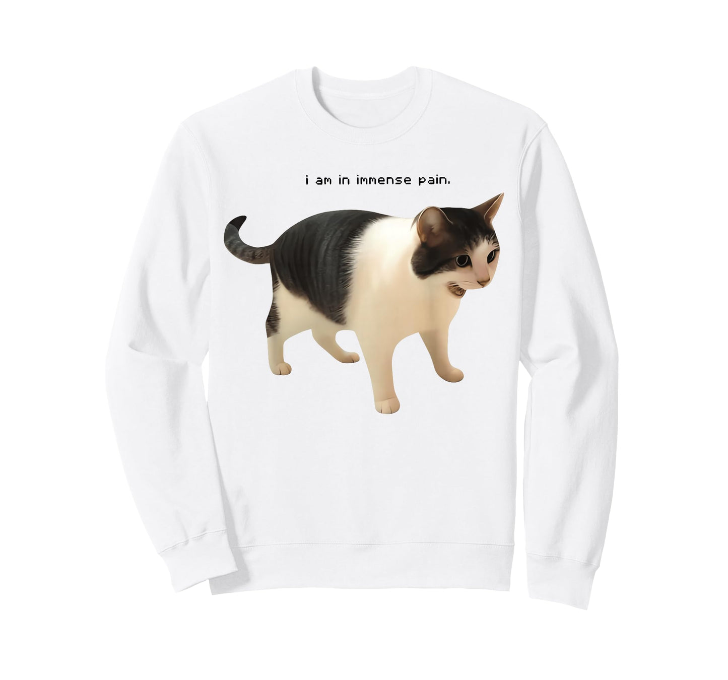 I Am in Immense Pain Funny Cat Meme Quote T-Shirt