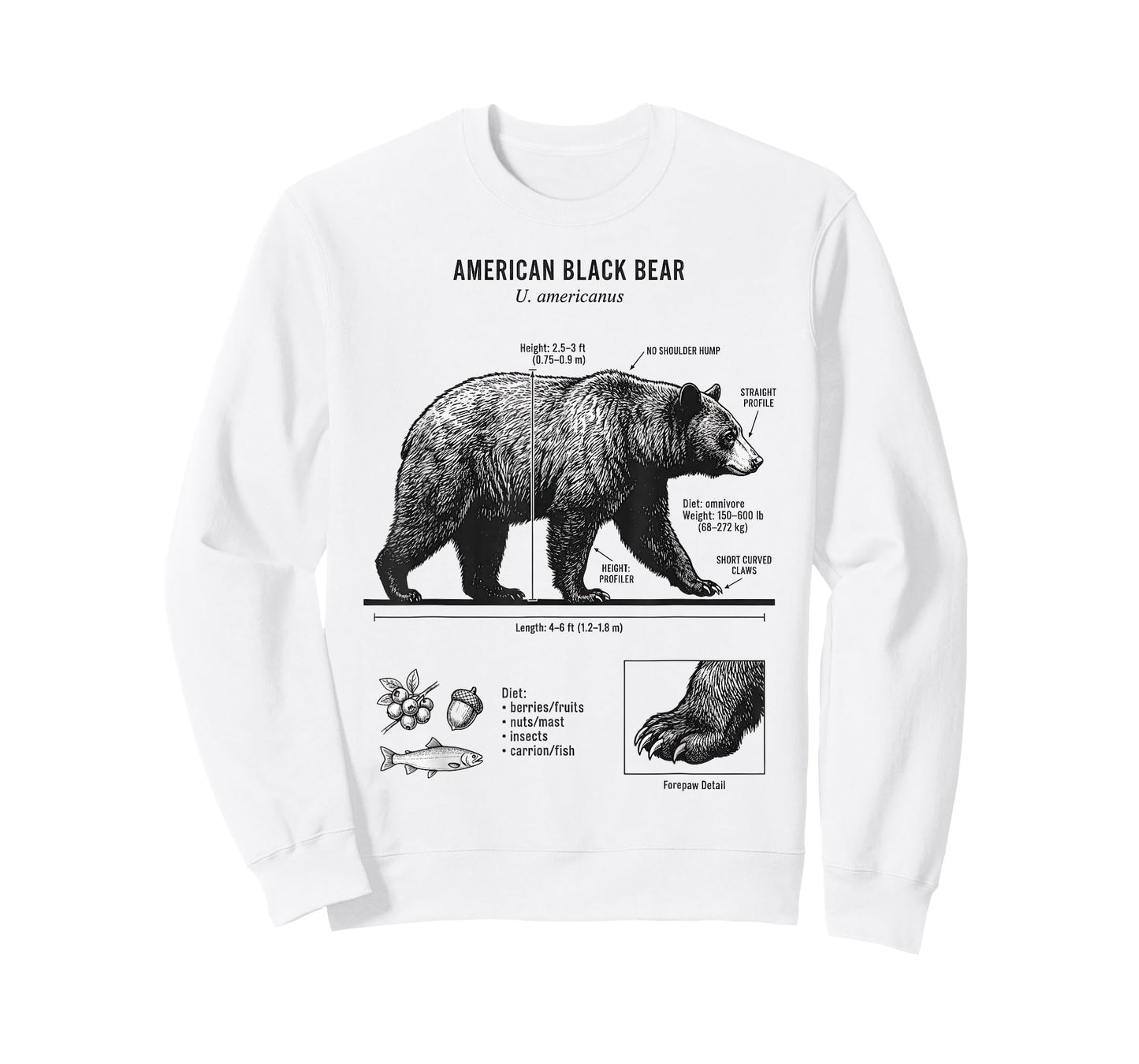 American Black Bear Anatomy Illustration for Nature Lovers T-Shirt