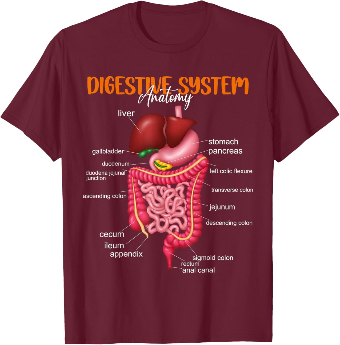Funny Digestive System Anatomy Anatomical Biology Teacher T-Shirt - T-Shirt | Maroon