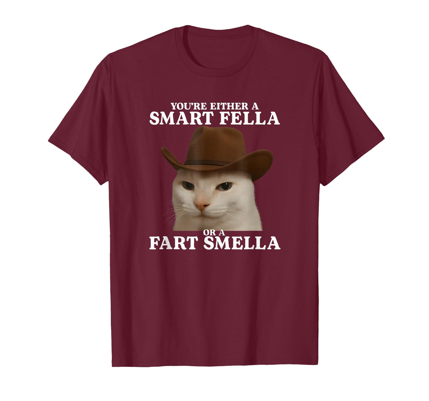 You're Either a Smart Fella or a Fart Smella Funny Cat Meme T-Shirt
