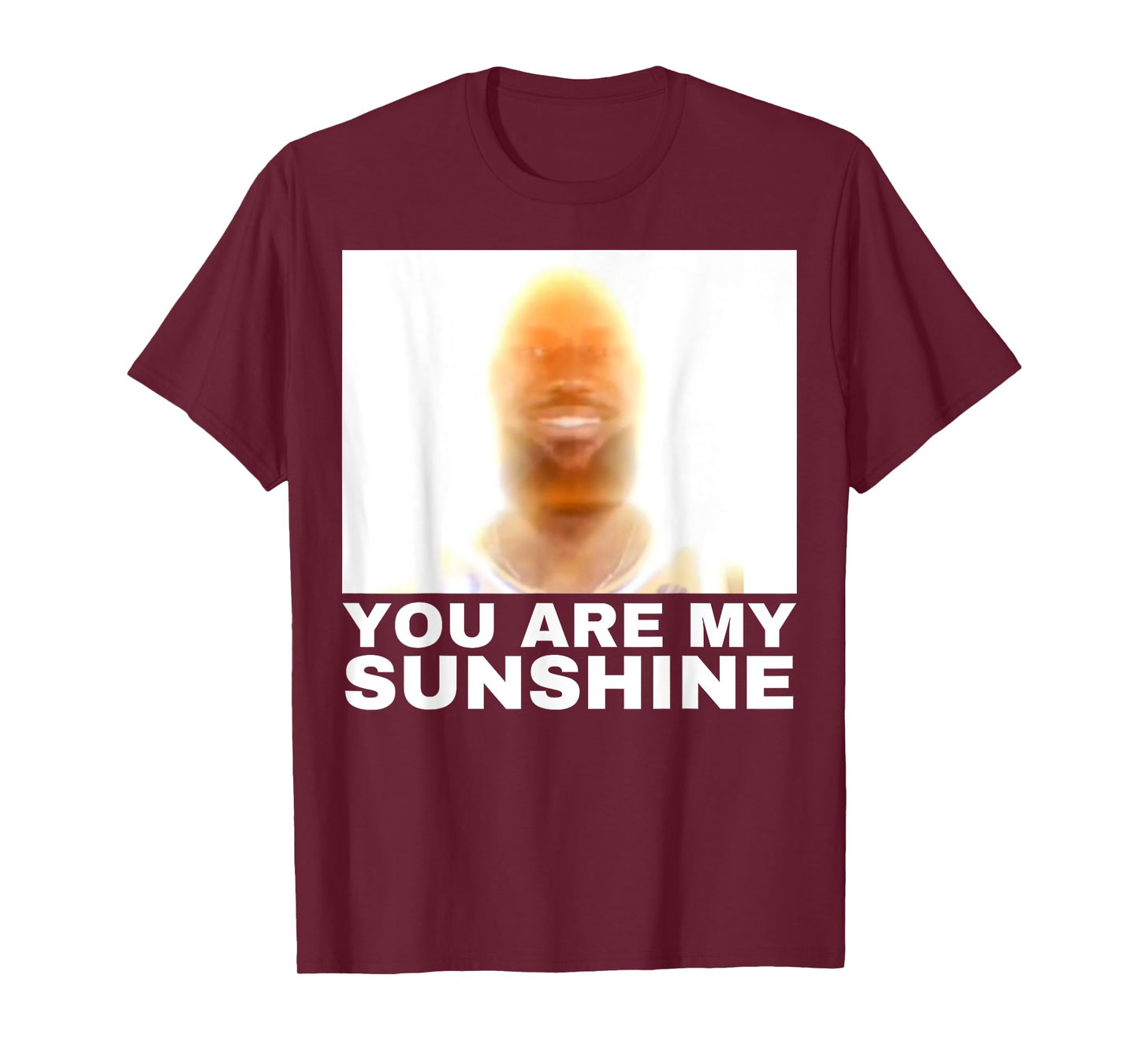 You Are My Sunshine Meme T-Shirt