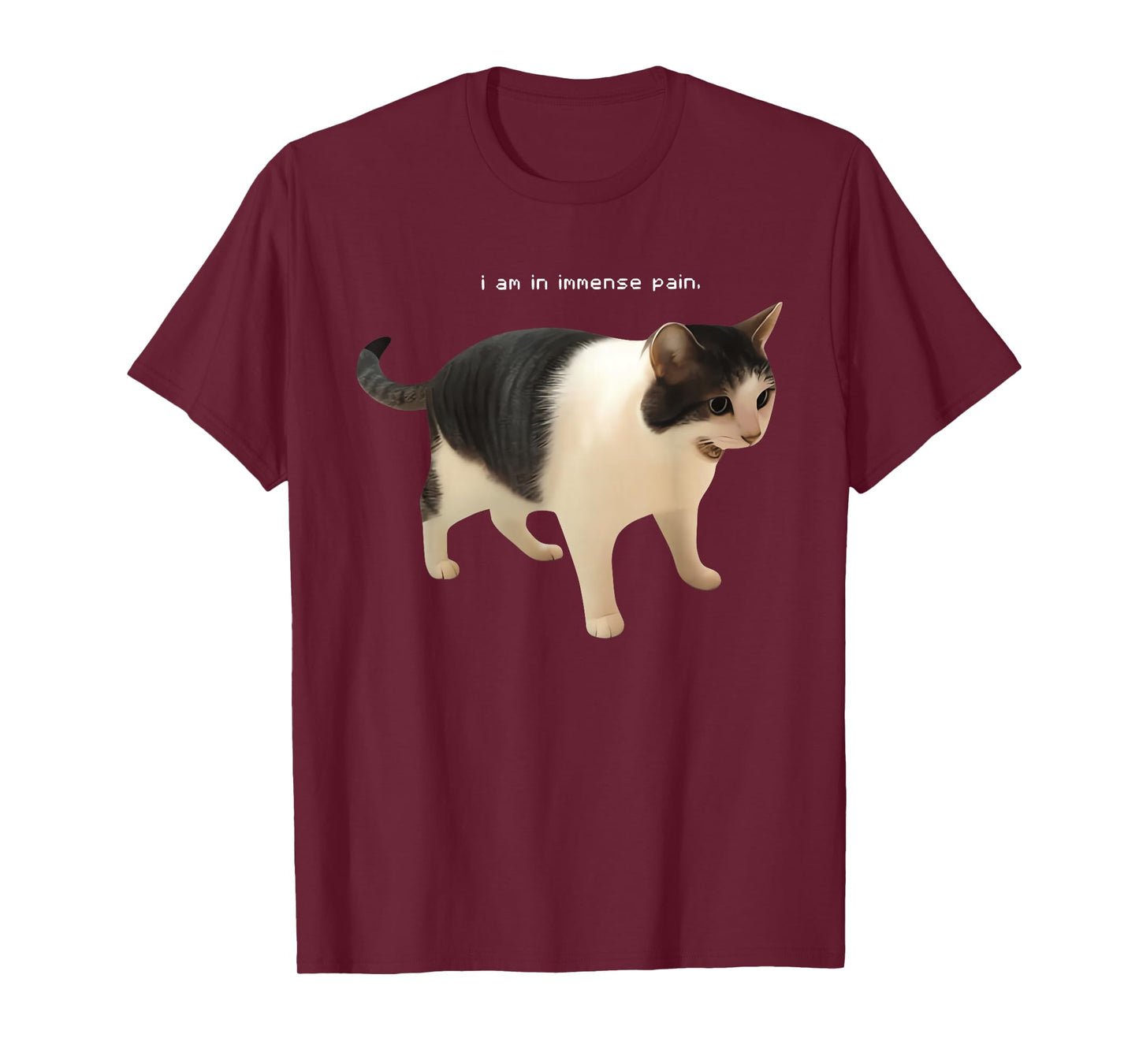 I Am in Immense Pain Funny Cat Meme Quote T-Shirt