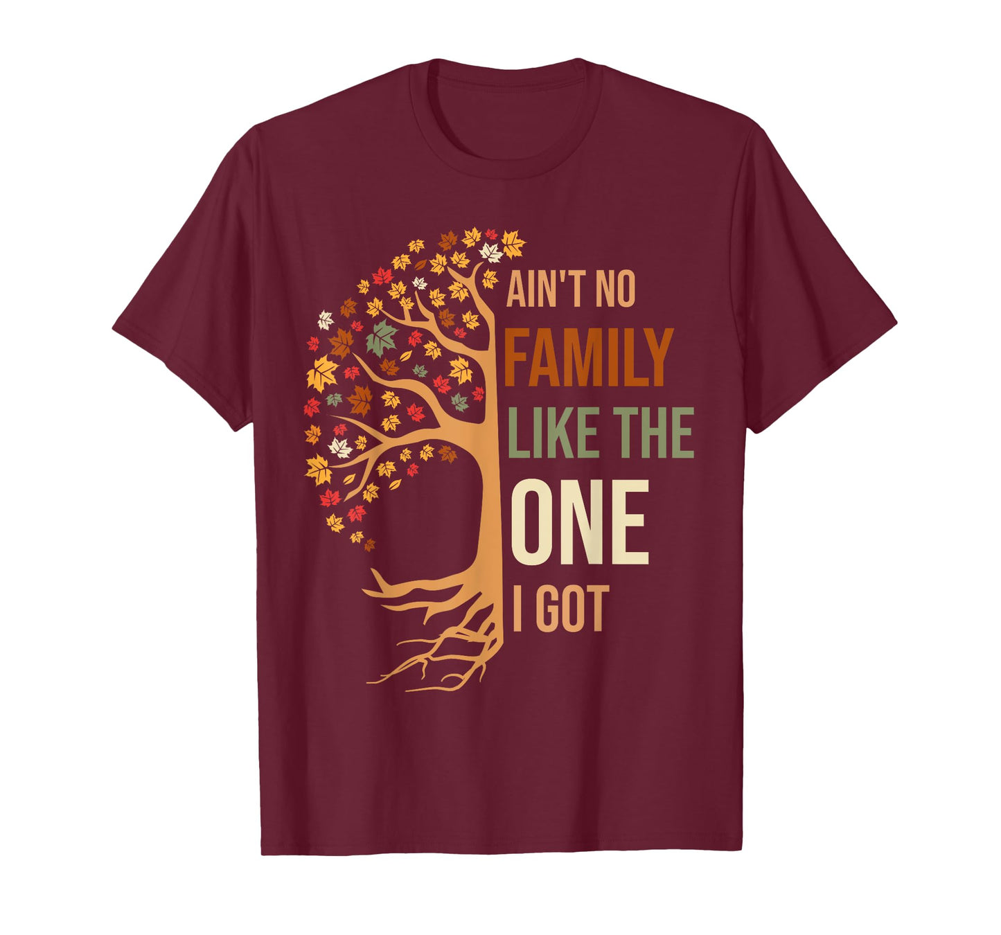 Ain't No Family Like The One I Got Funny Family Reunion 2024 T-Shirt