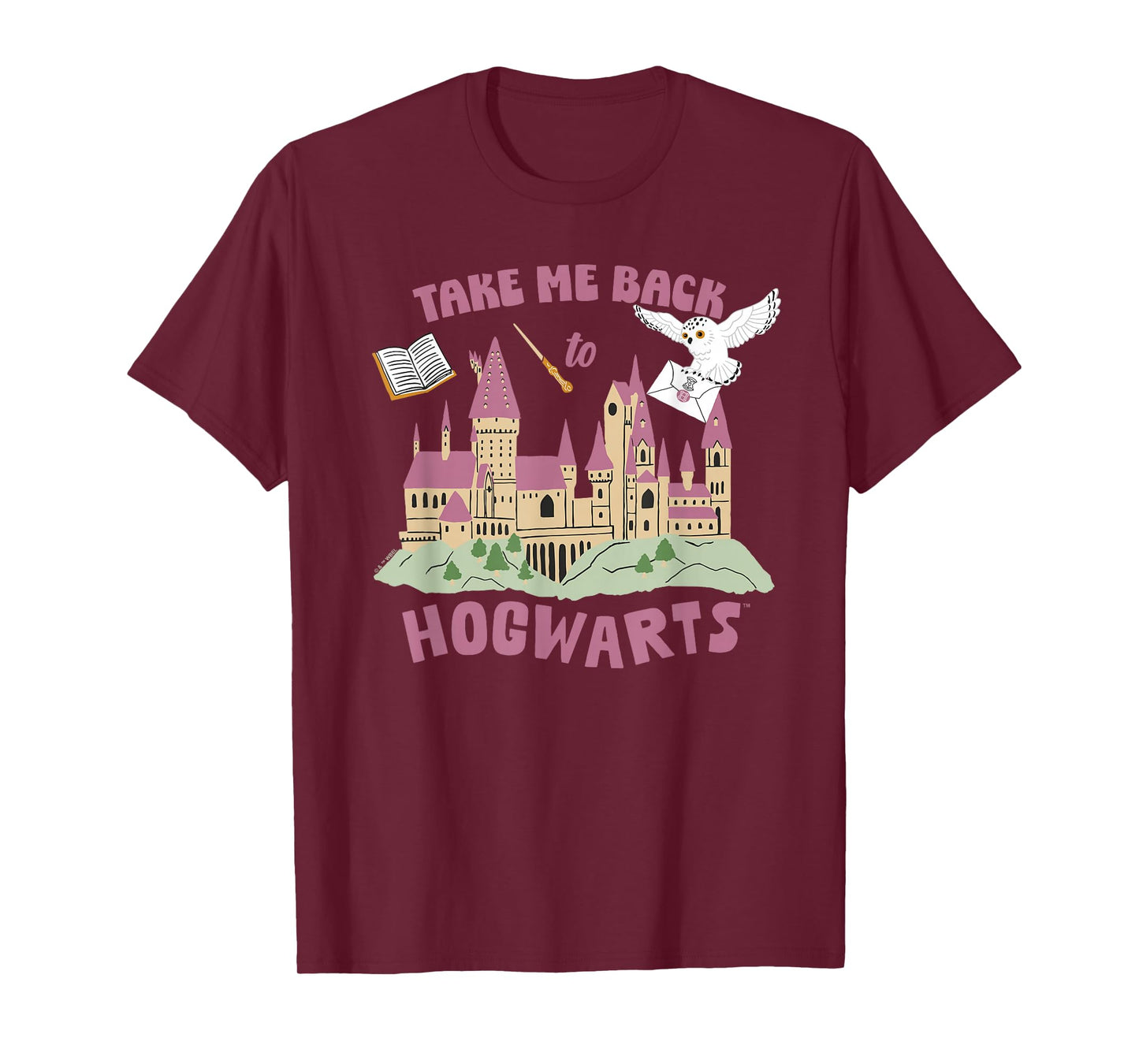 Harry Potter Take Me Back To Hogwarts T-Shirt