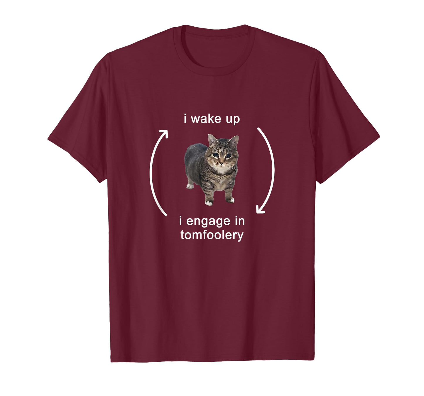 I Wake Up I Engage In Tomfoolery Silly Cat Meme T-Shirt