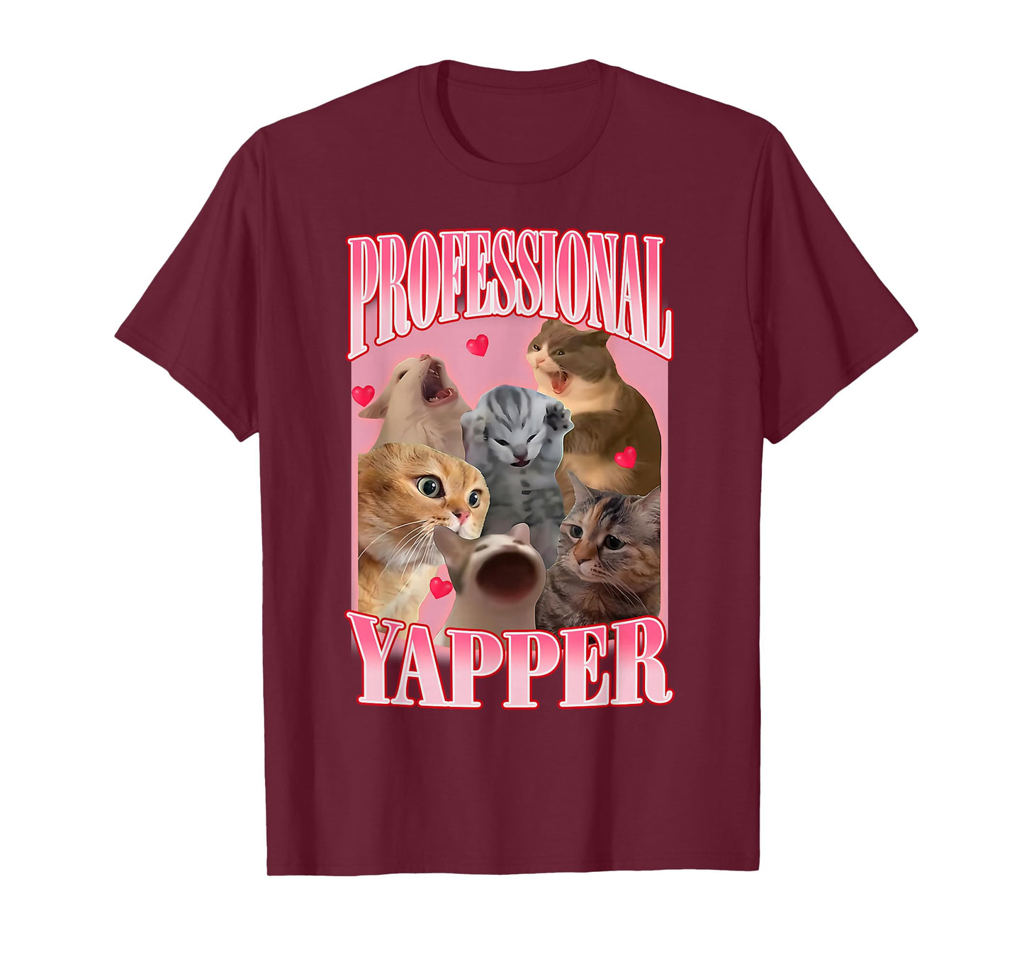 Professional Yapper Cat Funny Oddly Specific Dank Meme T-Shirt
