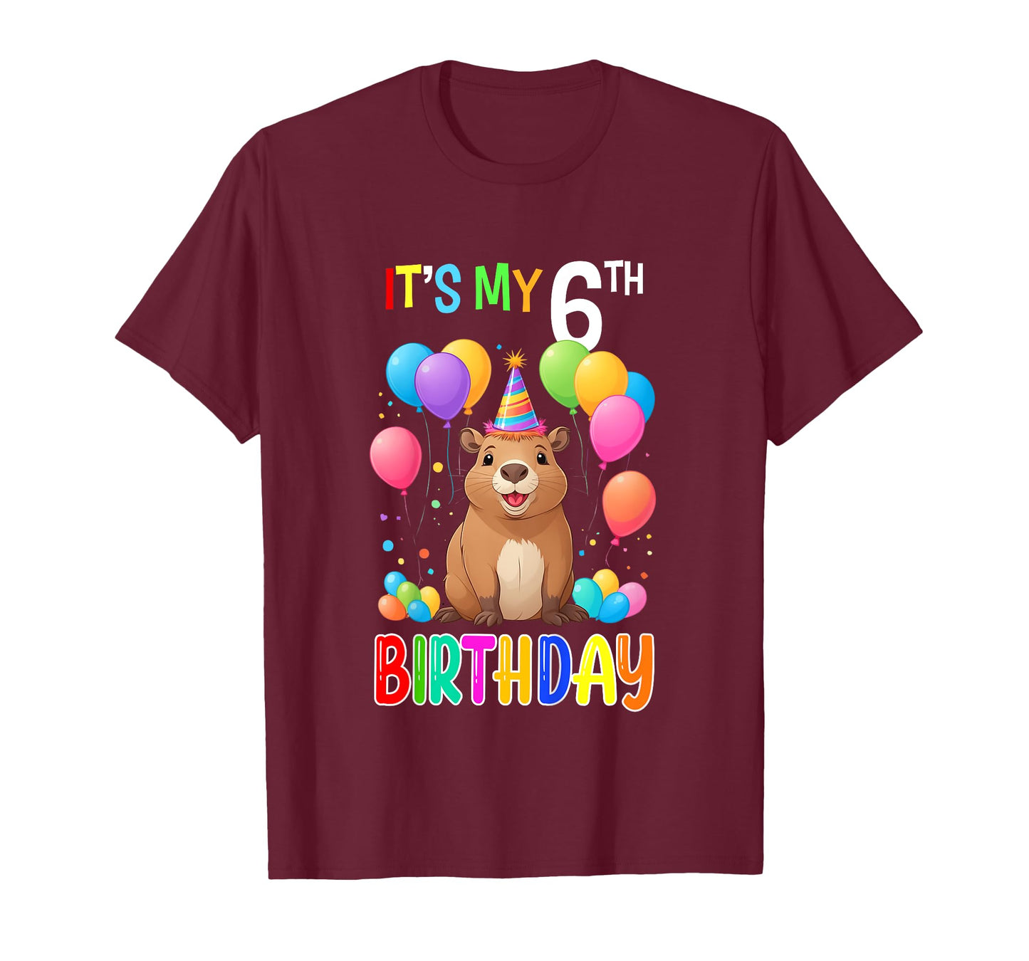 6th Birthday Shirt Funny Capybara 6 Years Capybara Birthday T-Shirt