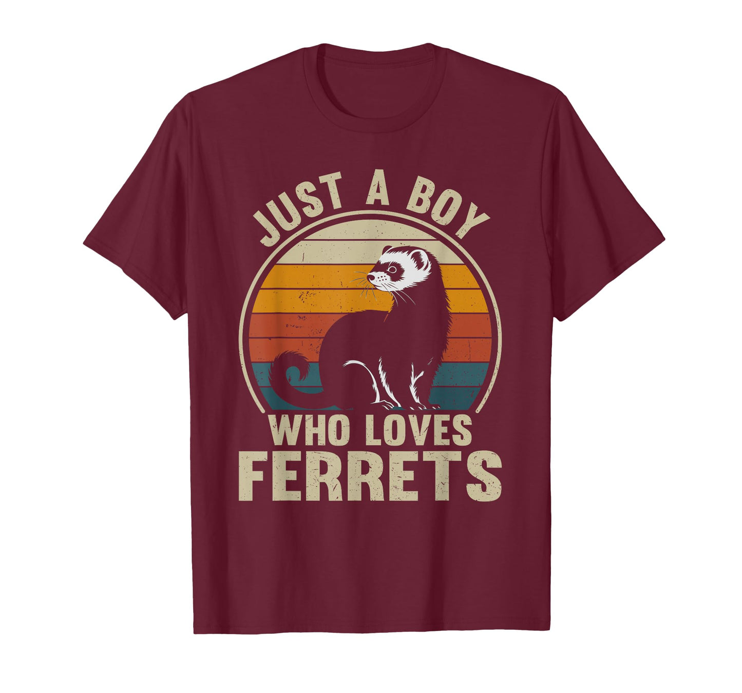 Just A Boy Who Loves Ferrets Recto Ferret Lover T-Shirt