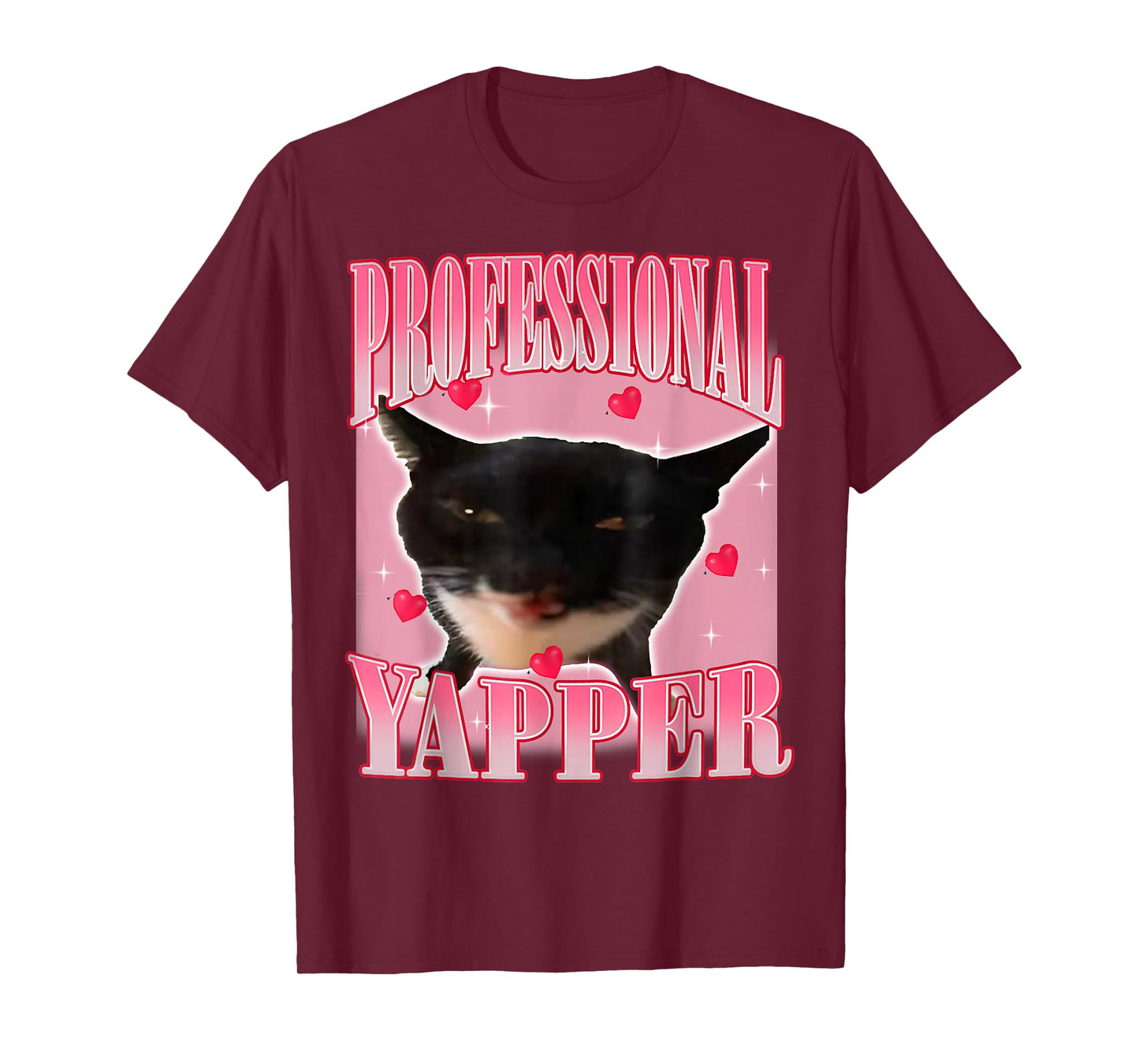 Professional Yapper Cat Funny Oddly Specific Dank Meme T-Shirt