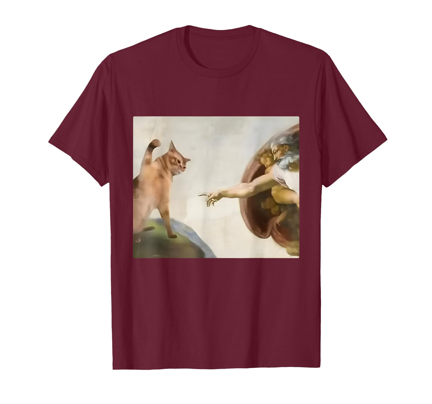 Funny Cat Slap Creation of Adam Cat Meme Stupid Brain Rot T-Shirt