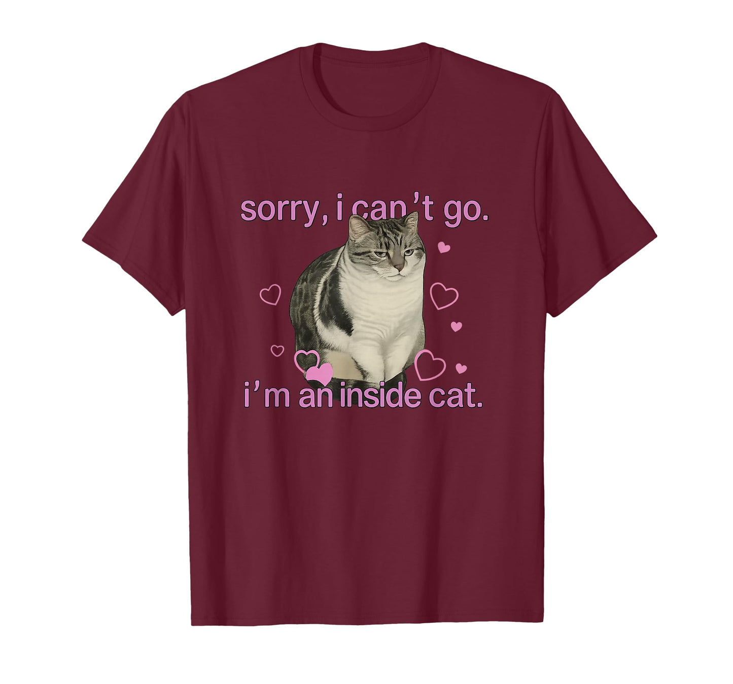 Sorry I can’t go I’m an inside cat T-Shirt