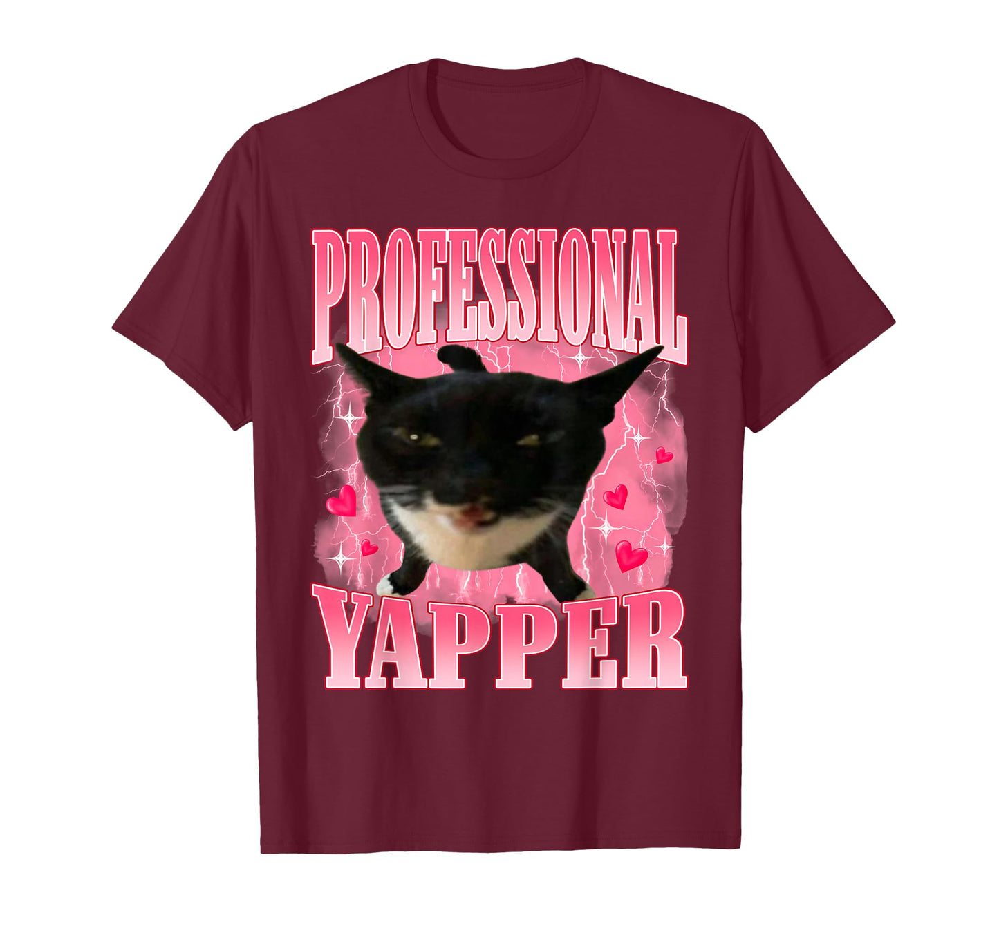 Professional Yapper Cat Funny Oddly Specific Dank Meme T-Shirt