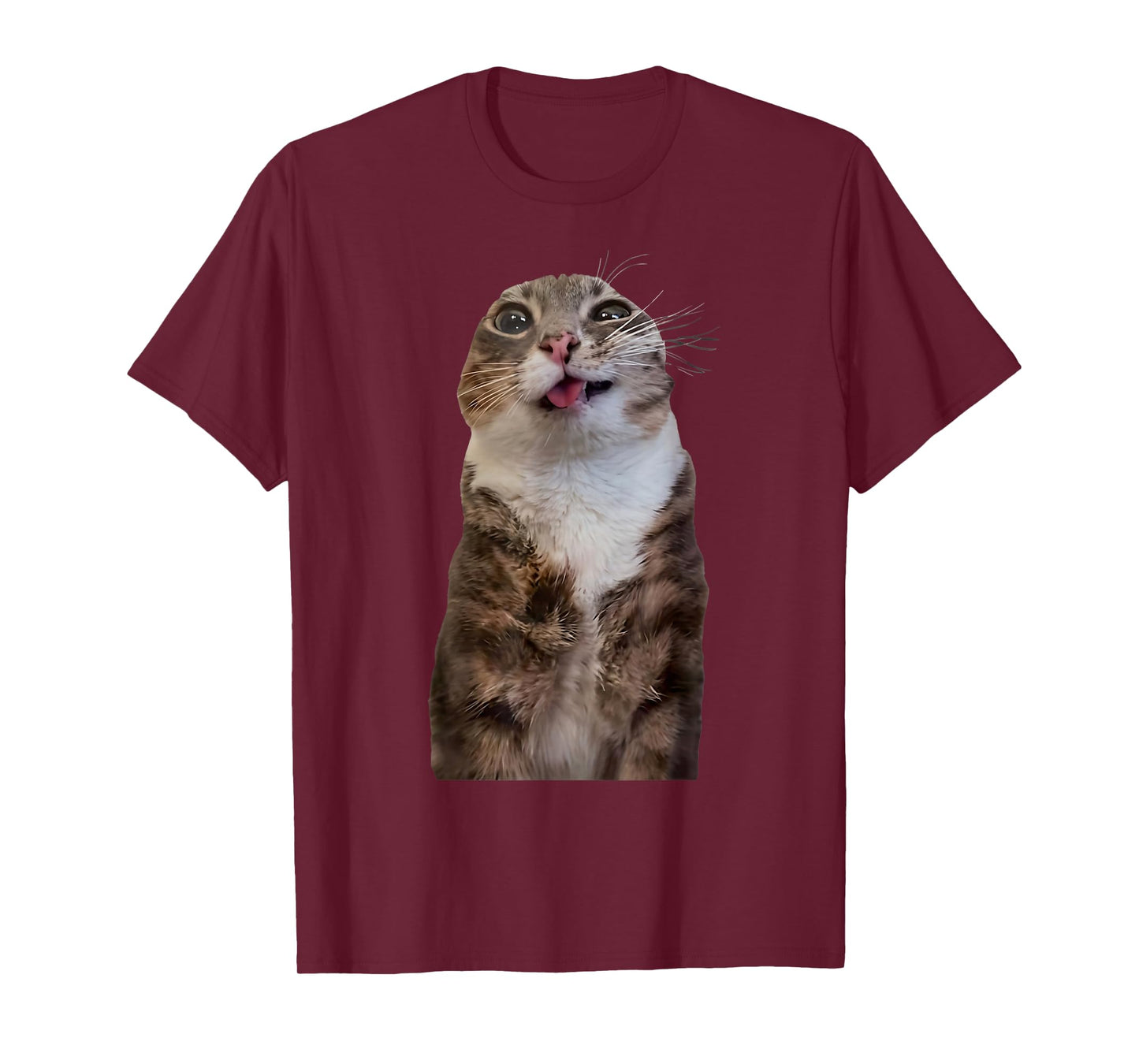 Funny Rigby Cat Silly Viral Meme T-Shirt
