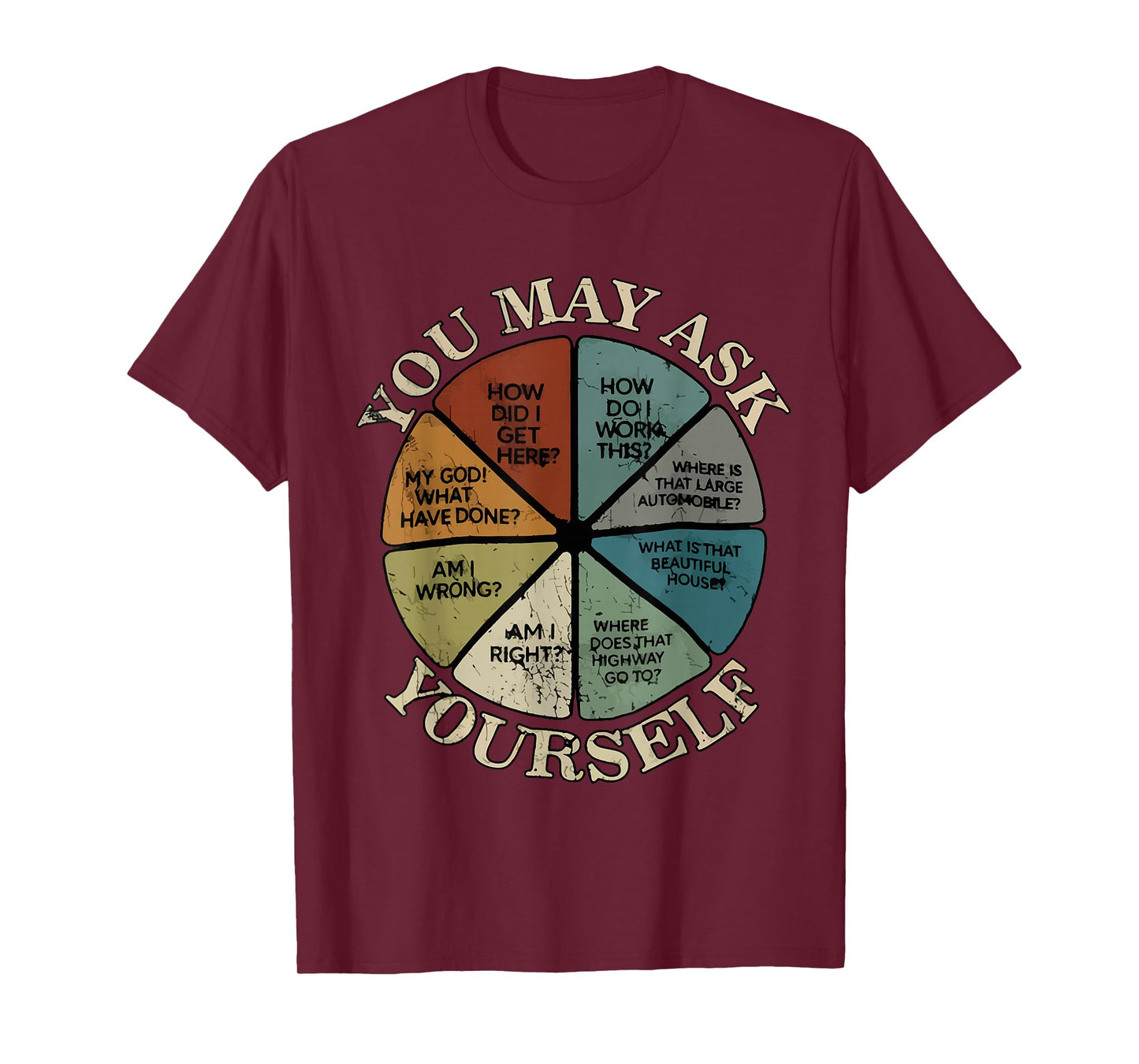 Vintage You May Ask Yourself Once in A Lifetime Pie Chart T-Shirt