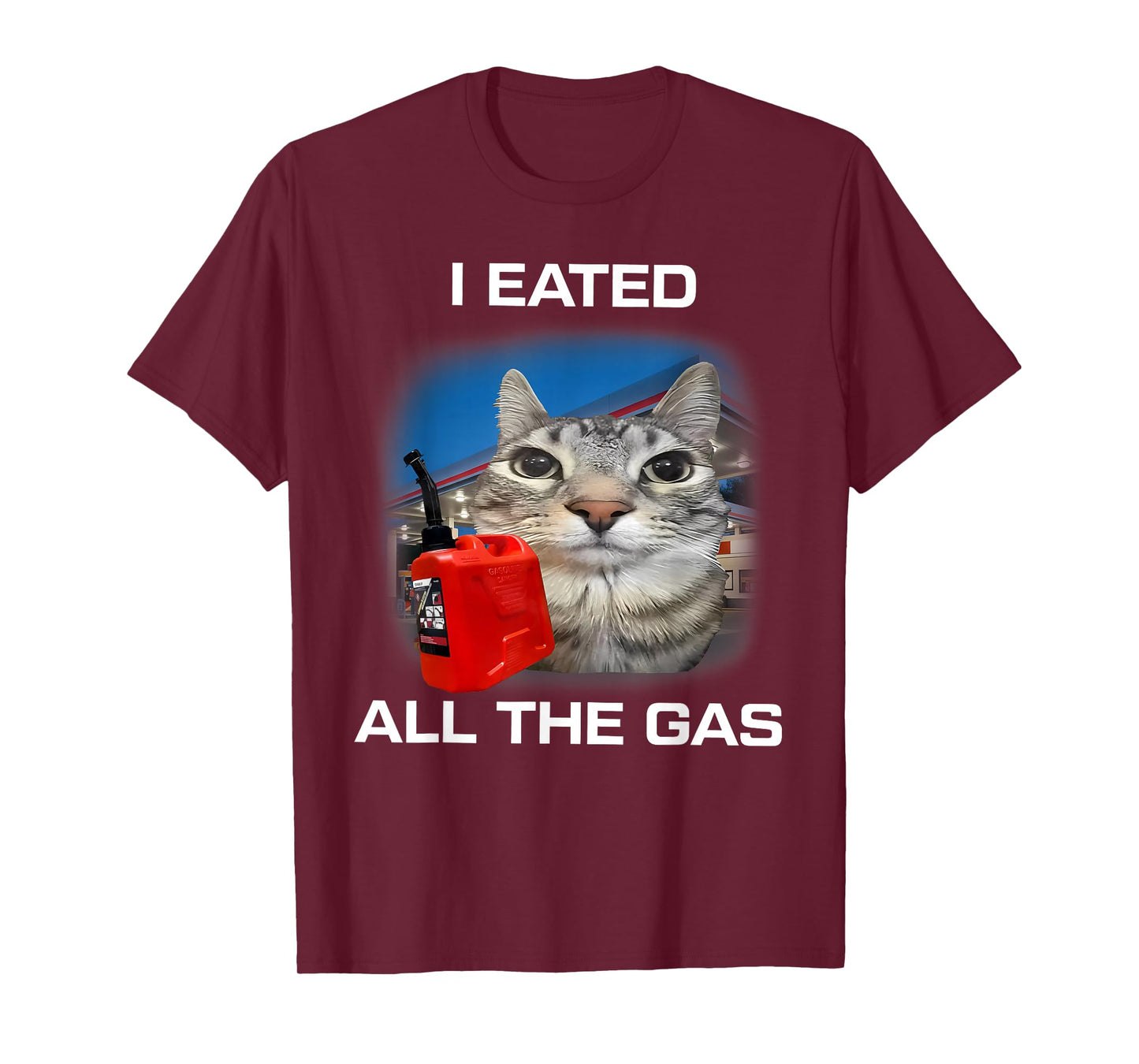 I Eated All The Gas Cat Meme Stupid Brainrot Humor T-Shirt