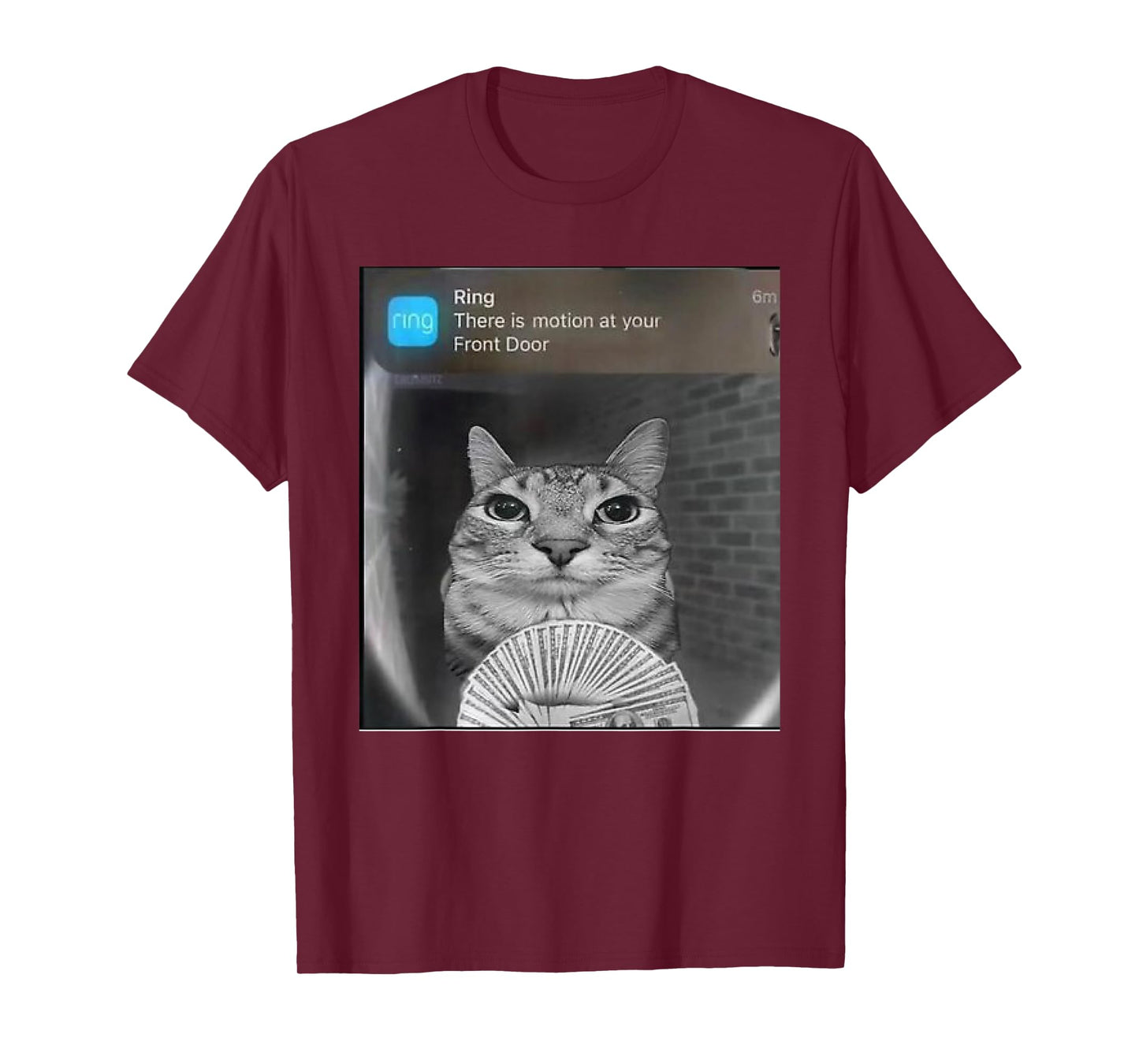 Ring Cat with Motion Meme T-Shirt
