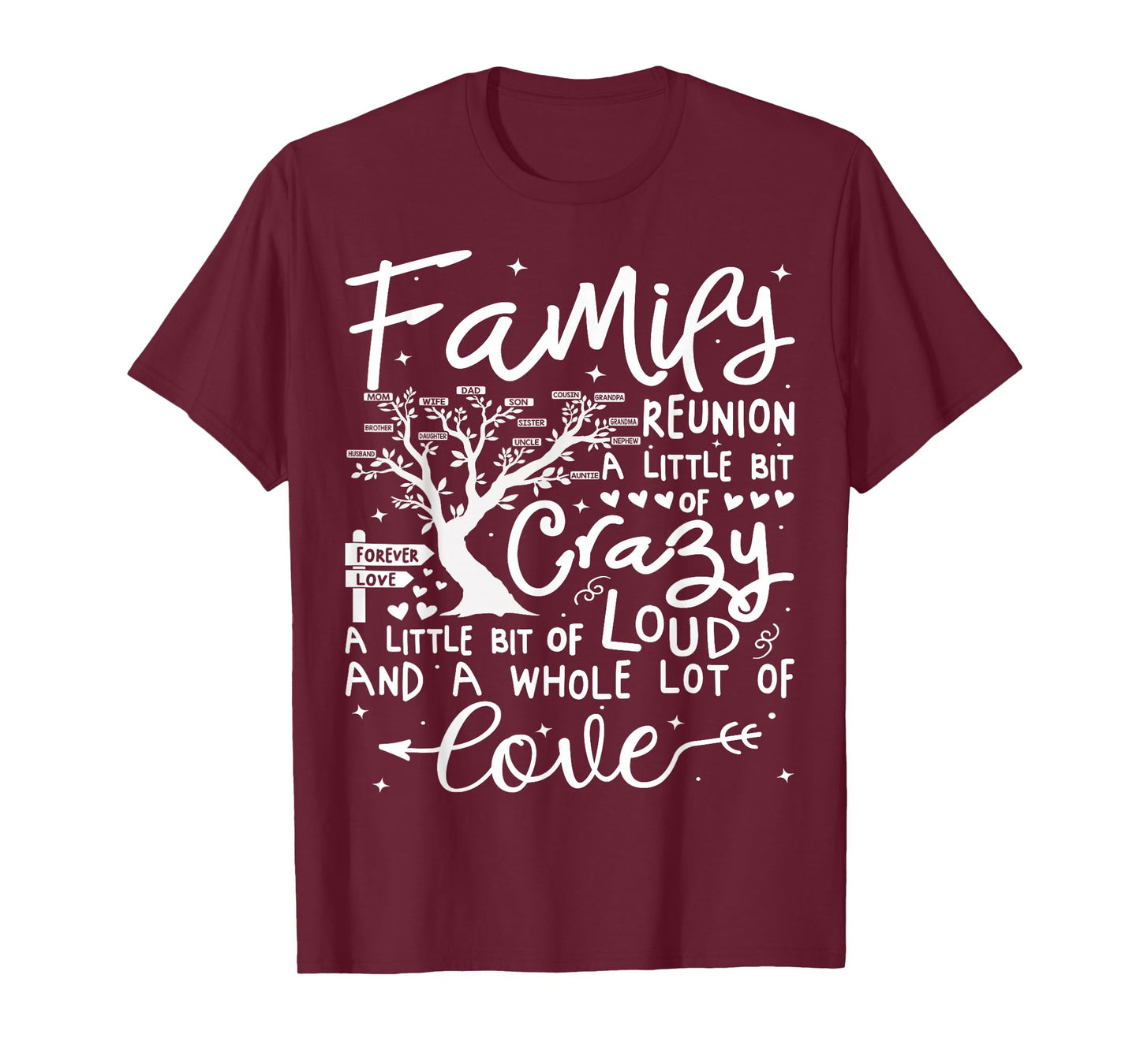 Family Reunion 2025 Shirt Family Matching Reunion Party T-Shirt