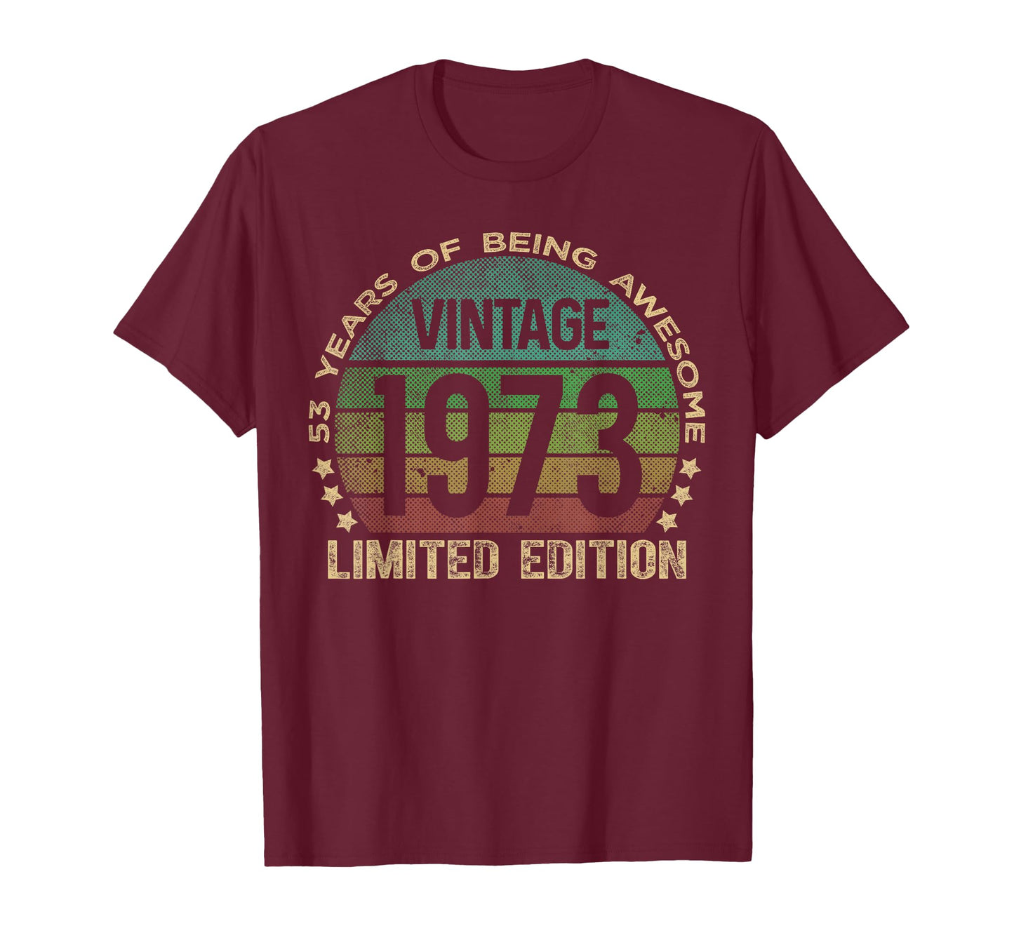 53 Year Old Gifts Vintage 1973 Limited Edition 53rd Birthday T-Shirt