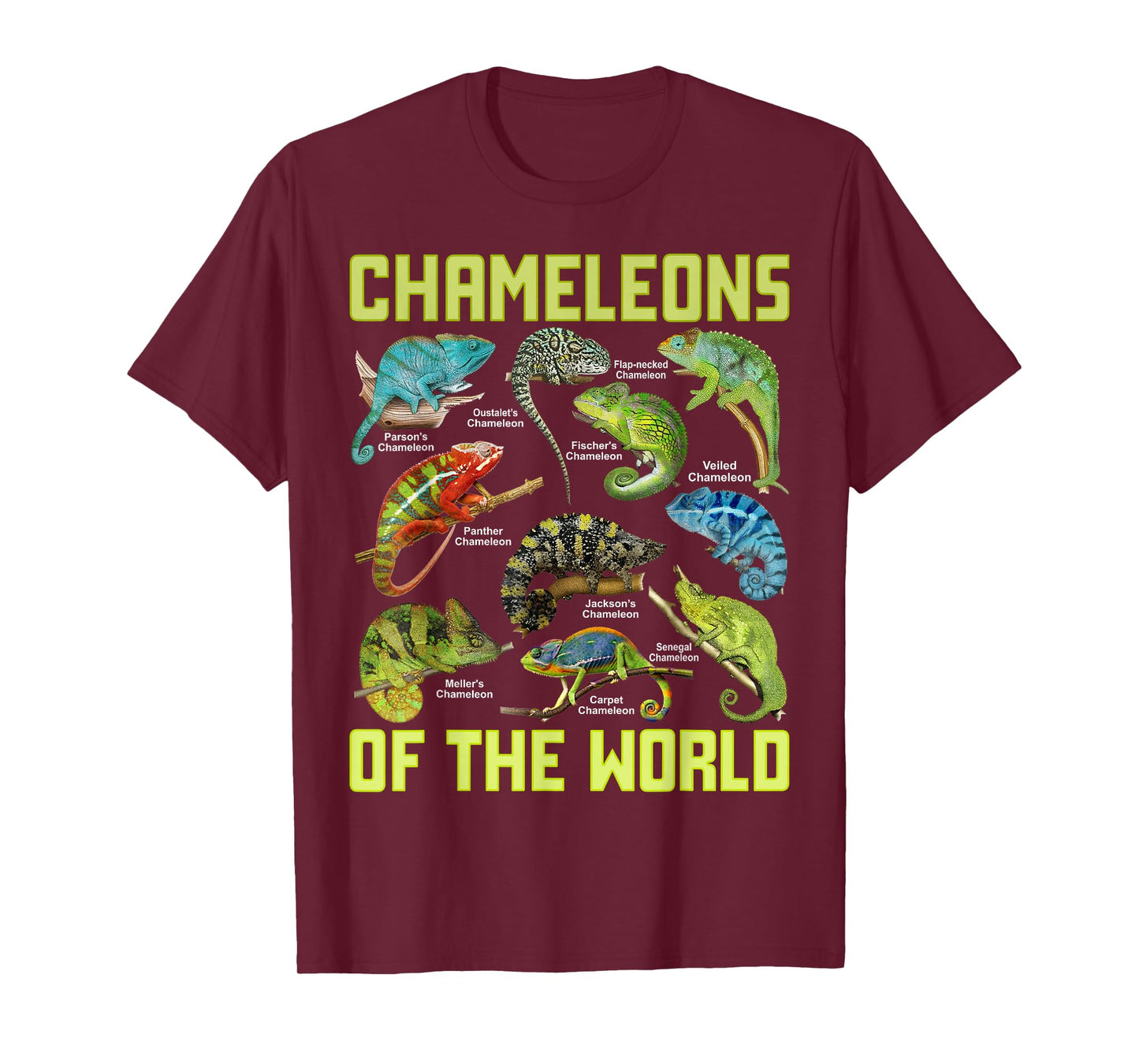 Chameleons of The World Educational Colorful Reptile Lizard T-Shirt