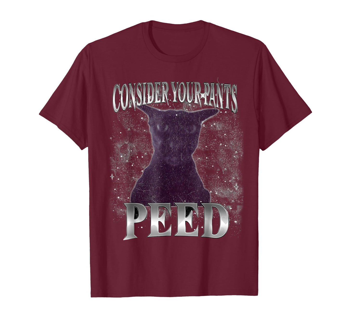 Funny Humor Consider Your Pants Peed Silly Cat Meme Saying T-Shirt