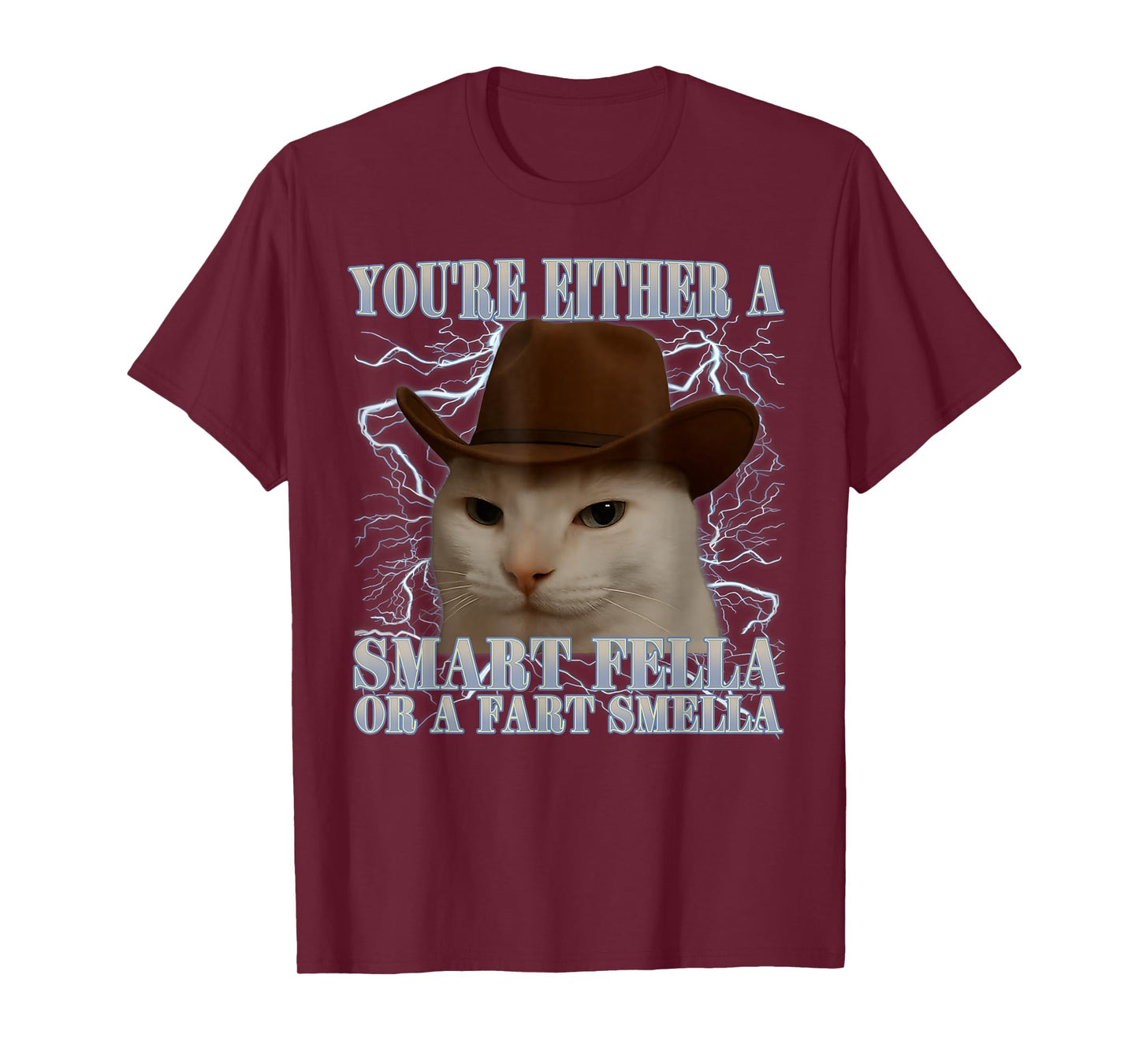 You're Either a Smart Fella or a Fart Smella Funny Cat Meme T-Shirt