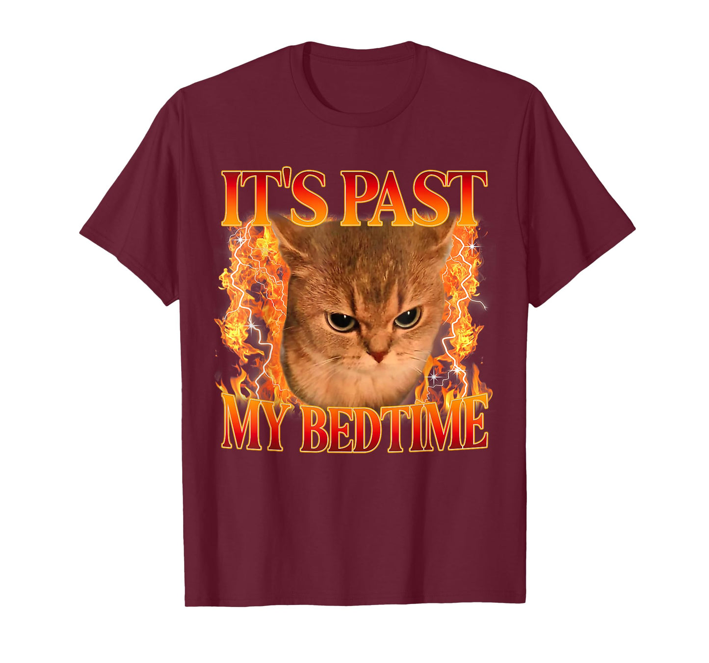 It's Past My Bedtime Funny Cat Meme Animals Humor Quote T-Shirt