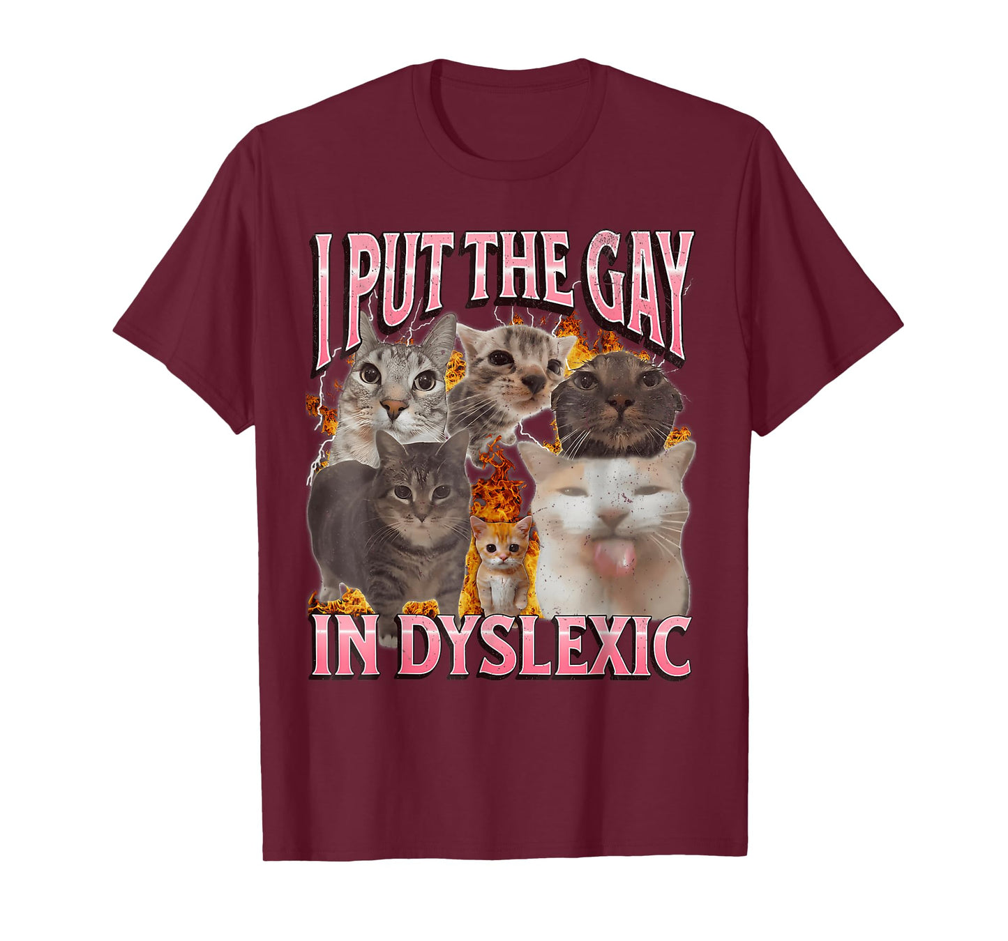 I Put The Gay in Dyslexic Funny Cat Meme Bootleg Graphic T-Shirt