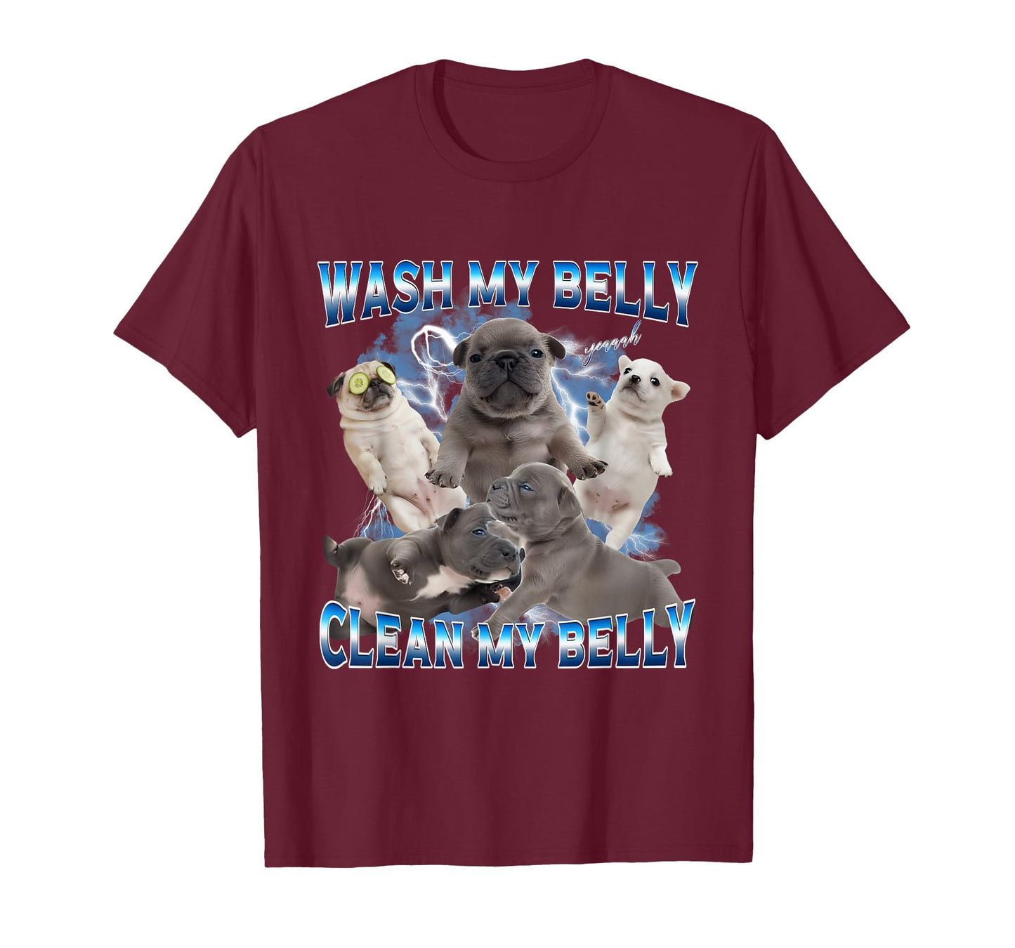 I'm Pibble Wash My Belly French Bulldog Brainrot Gen Z Meme T-Shirt