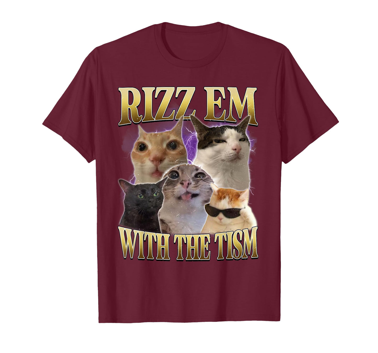 Rizz Em with The Tism Vintage Retro 90s Funny Cat Meme T-Shirt