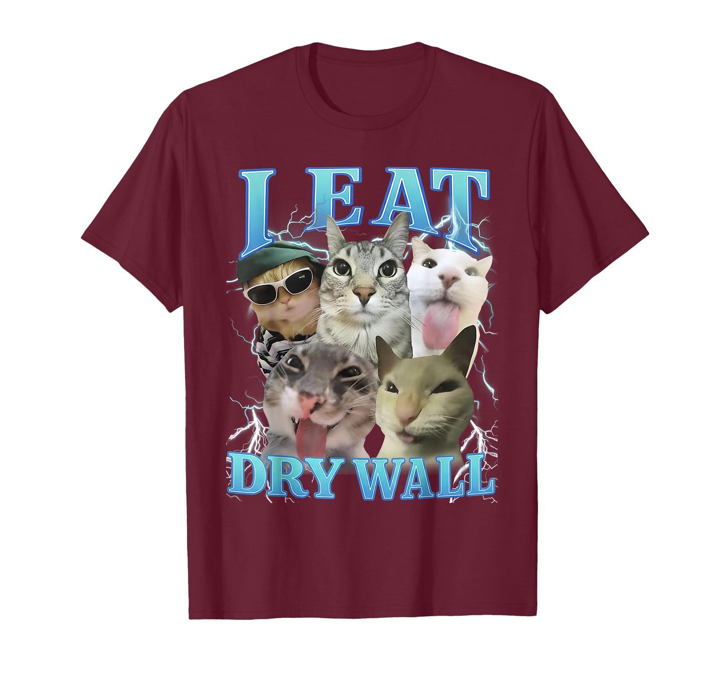 I Eat Dry Wall Funny Cat Meme T-Shirt