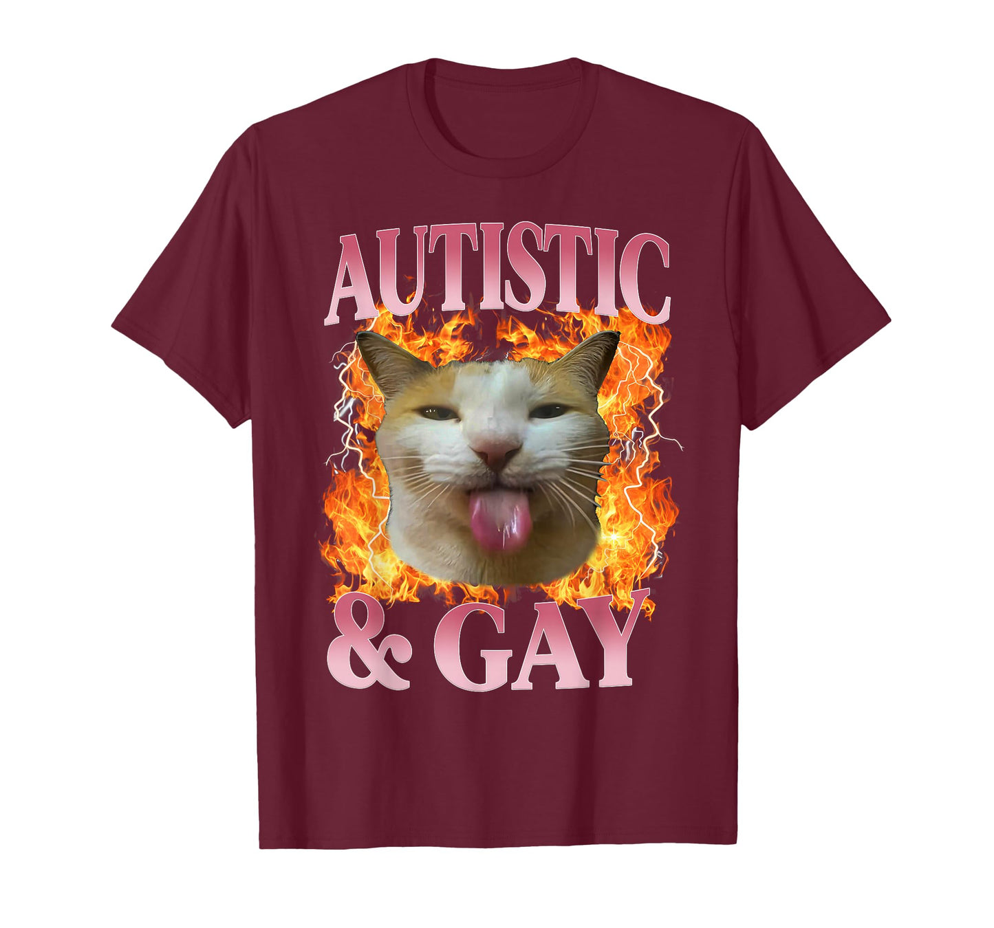 Funny Cat Humor Saying Autistic and Gay Cat Meme Quote T-Shirt