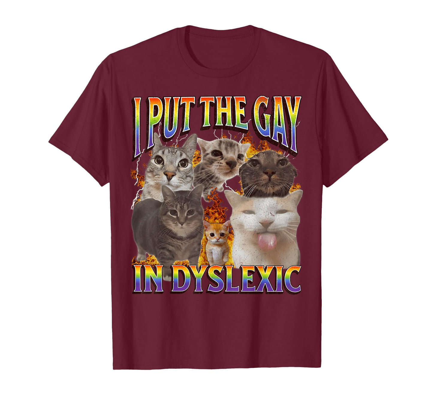 I Put The Gay In Dyslexic Funny Cat Meme Bootleg Funny Retro T-Shirt
