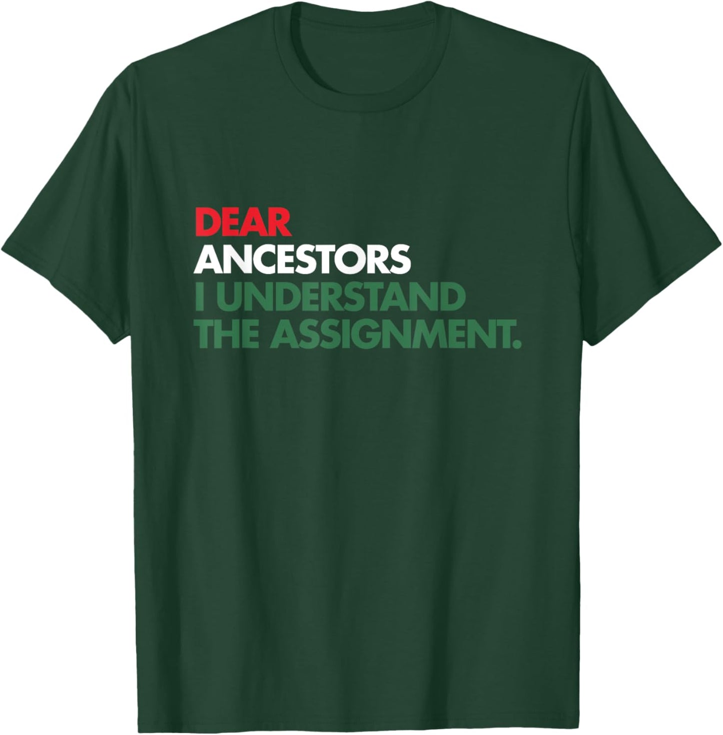 Dear Ancestors I Understand The Assignment T-Shirt - T-Shirt | Forest