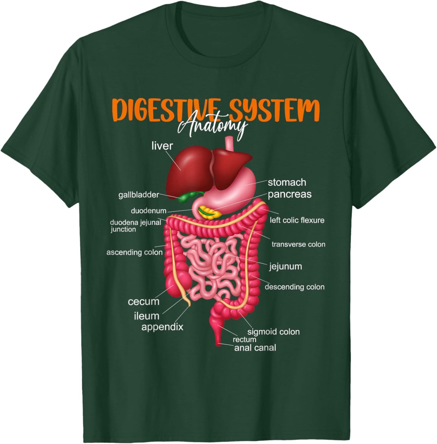 Funny Digestive System Anatomy Anatomical Biology Teacher T-Shirt - T-Shirt | Forest