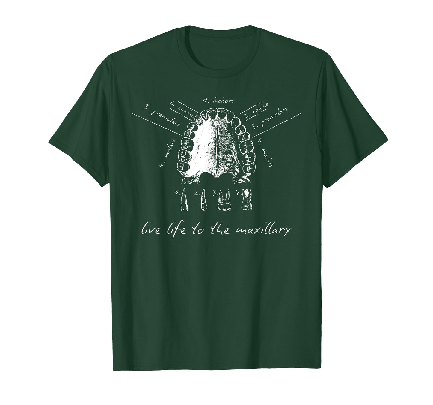 Live Life To The Maxillary Dental Anatomy Tooth Hygiene Grad T-Shirt