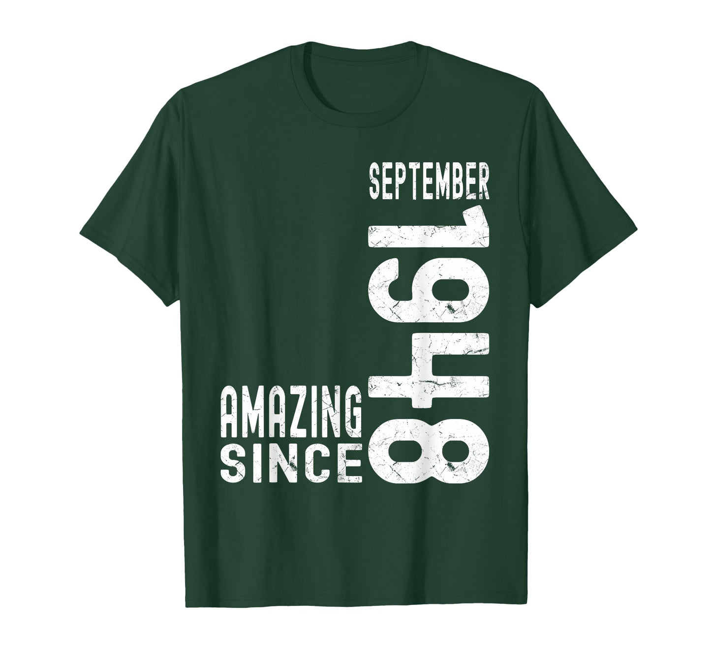 Amazing Since September 1948 Born In 1948 September Birthday T-Shirt