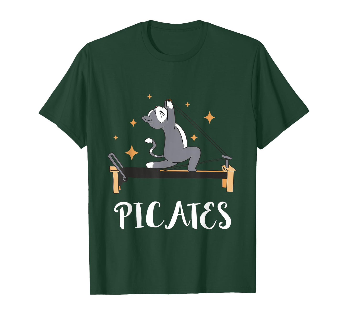 Cat Pilates Workout Pilates Fitness Instructor Pilates T-Shirt